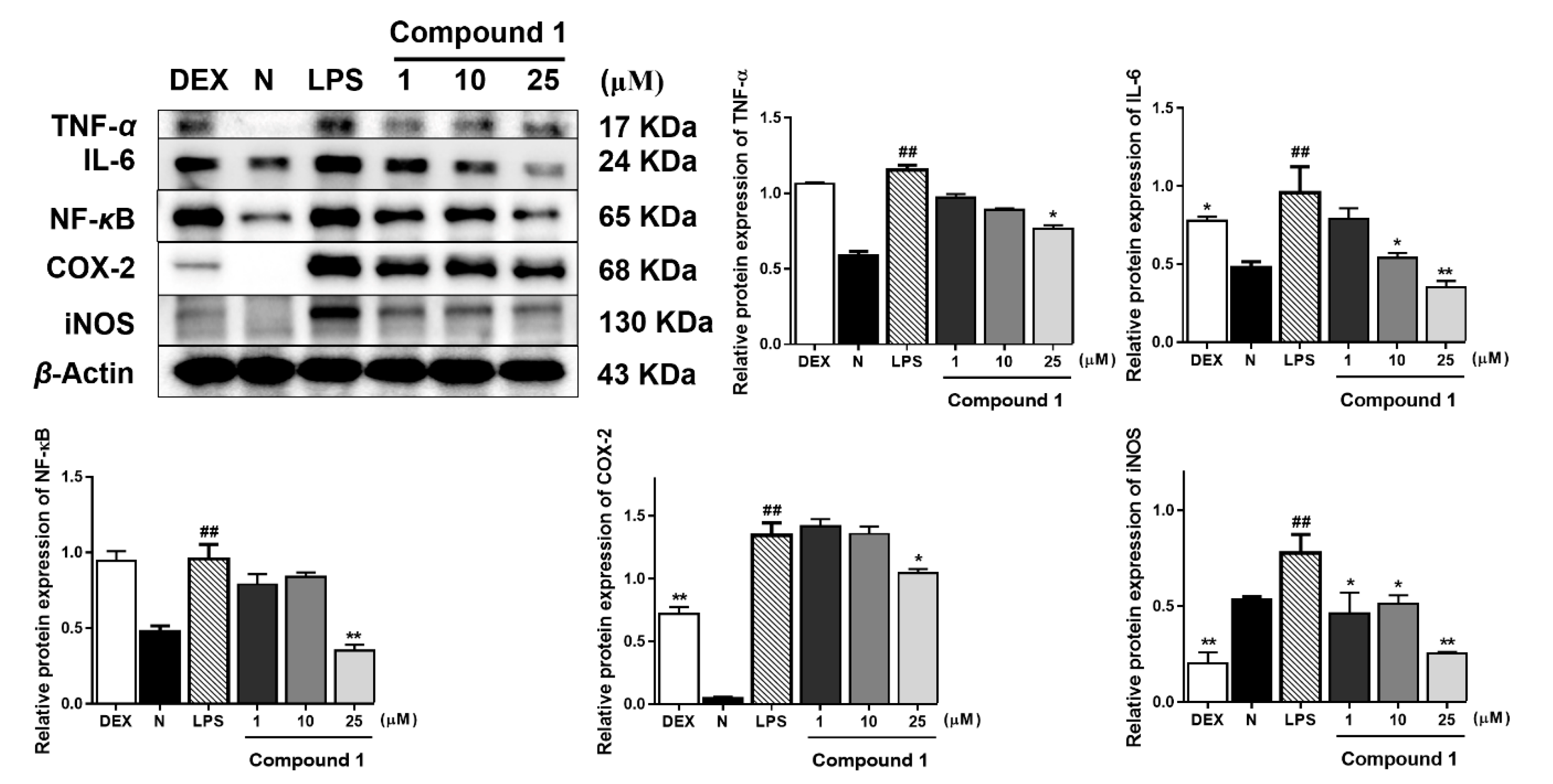 Molecules 25 03784 g003