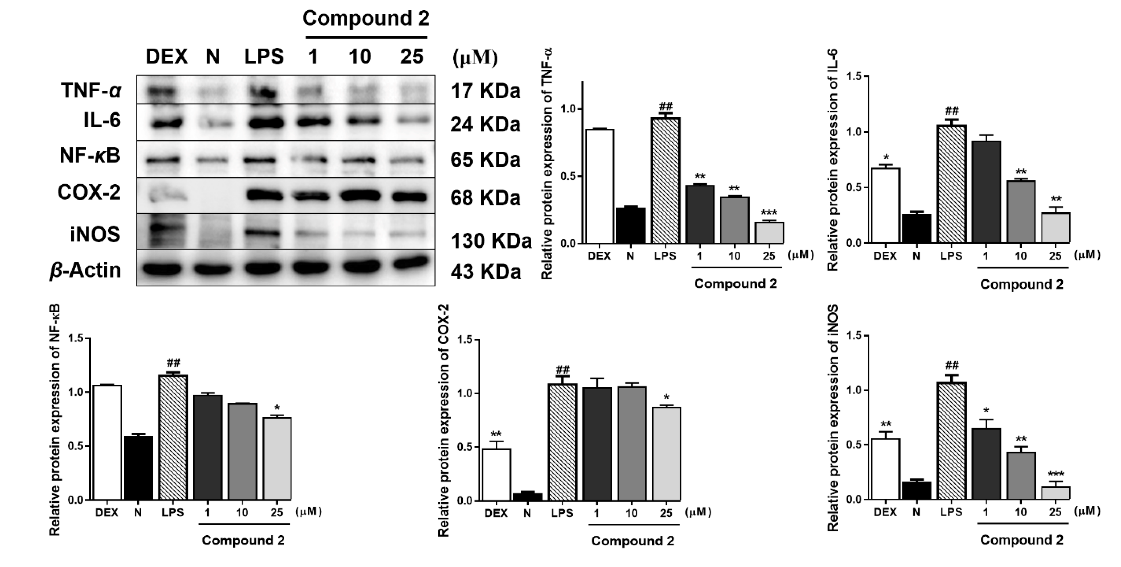 Molecules 25 03784 g004