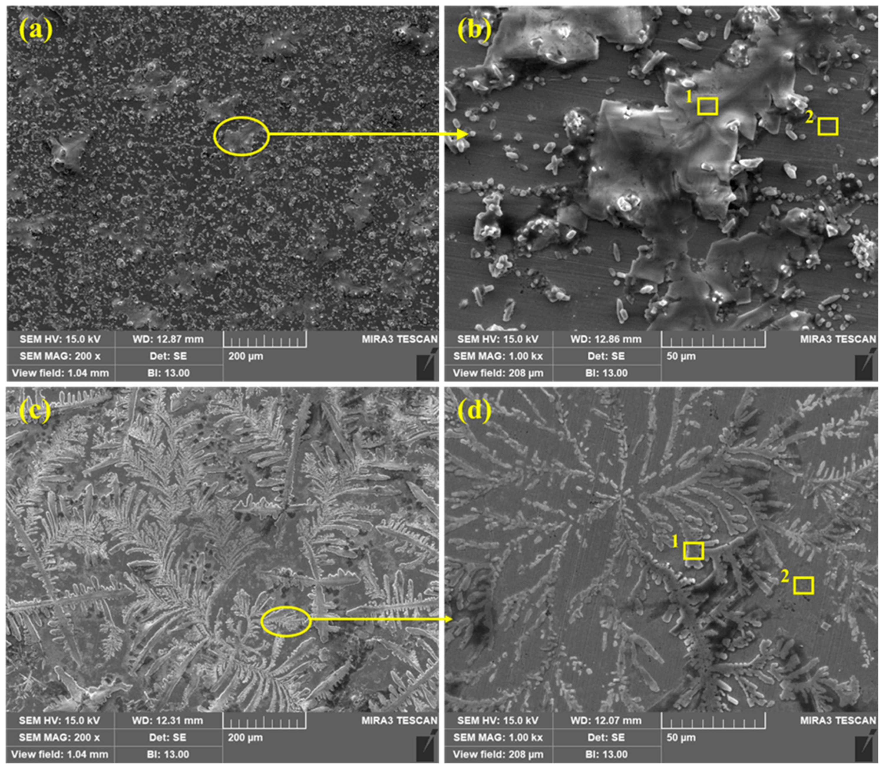 Molecules 25 03785 g008 Molecules 25 03785 g008
