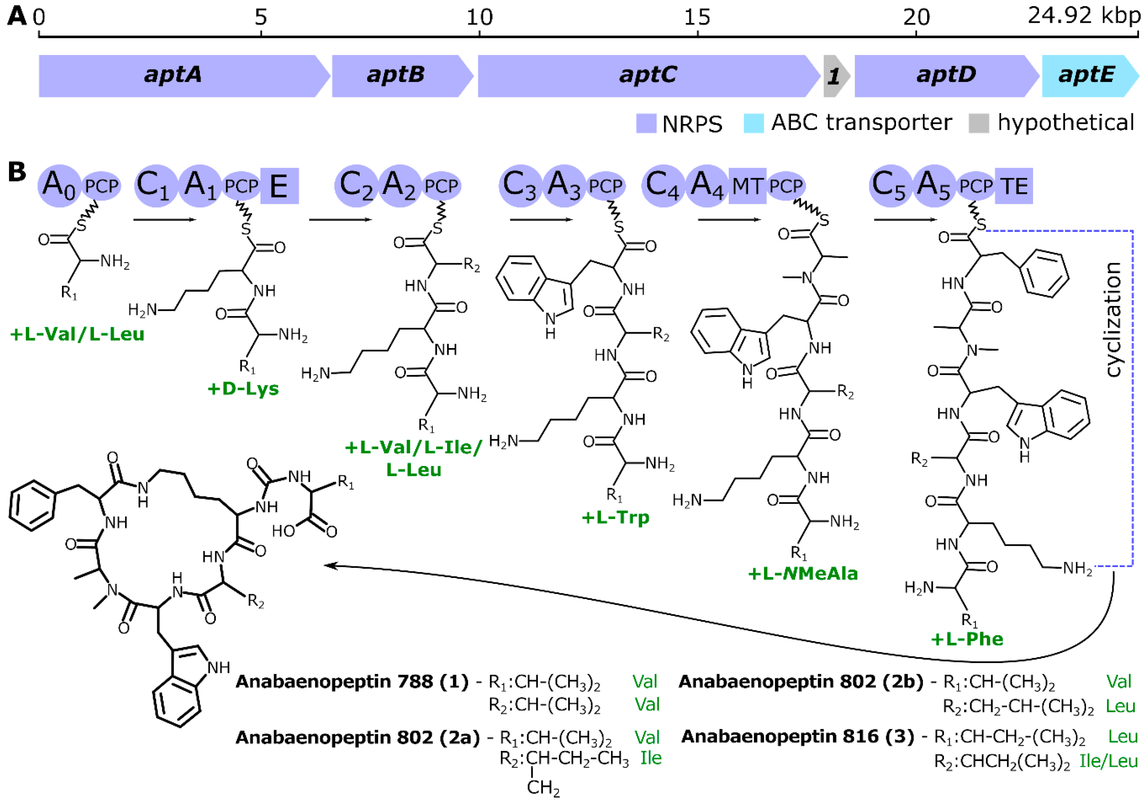 Molecules 25 03786 g002 Molecules 25 03786 g002