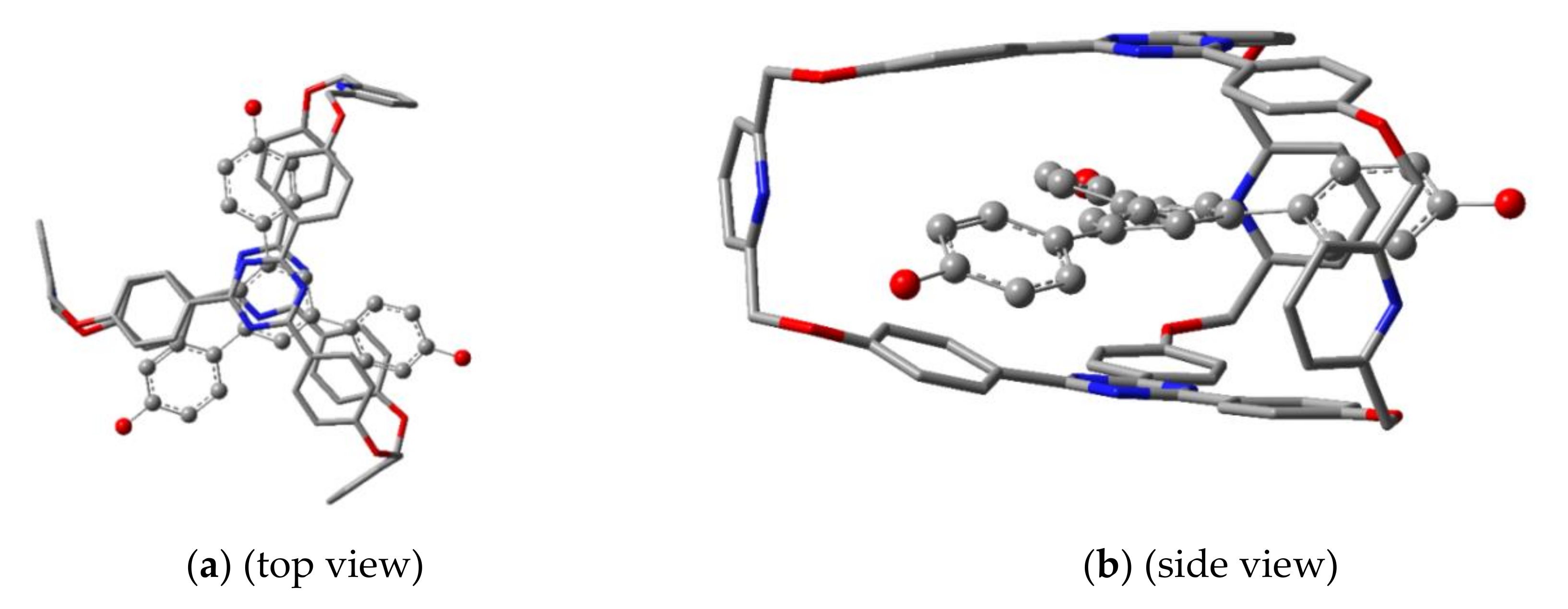 Molecules 25 03789 g011a Molecules 25 03789 g011a