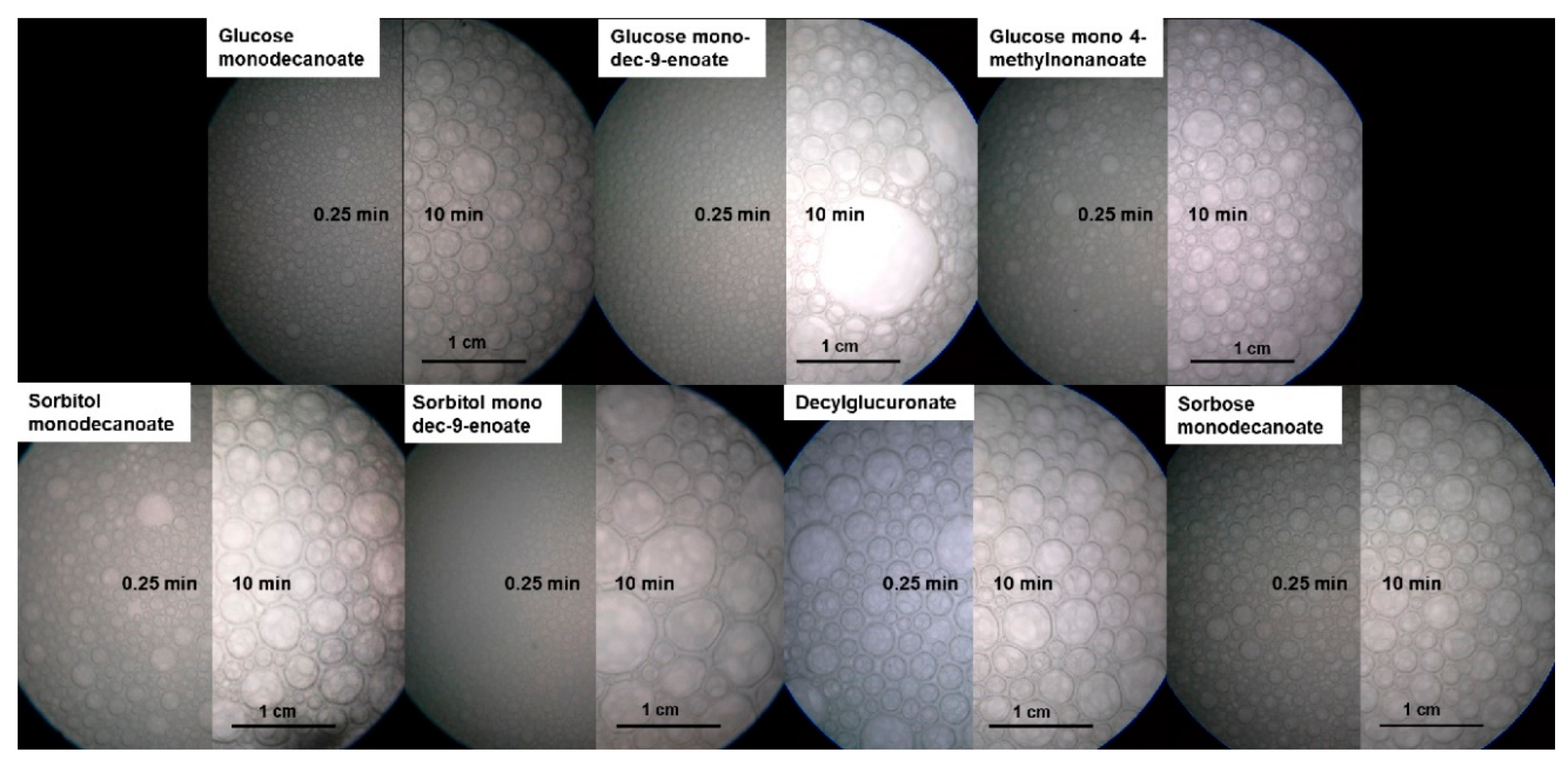 Molecules 25 03797 g005 Molecules 25 03797 g005