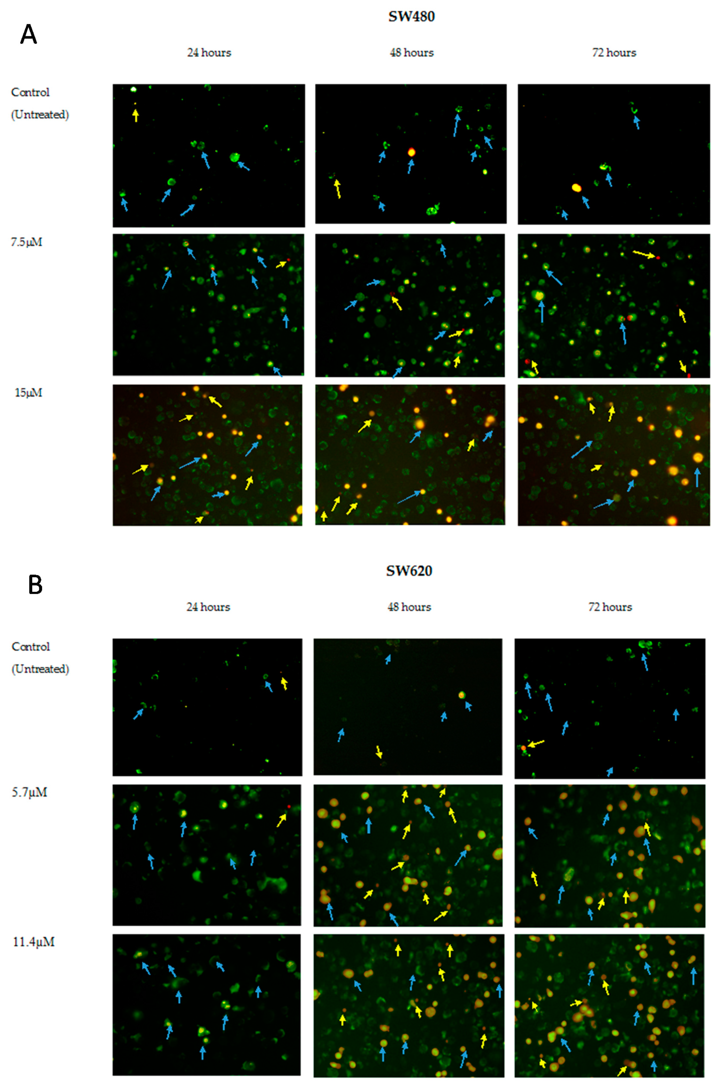 Molecules 25 03798 g005 Molecules 25 03798 g005