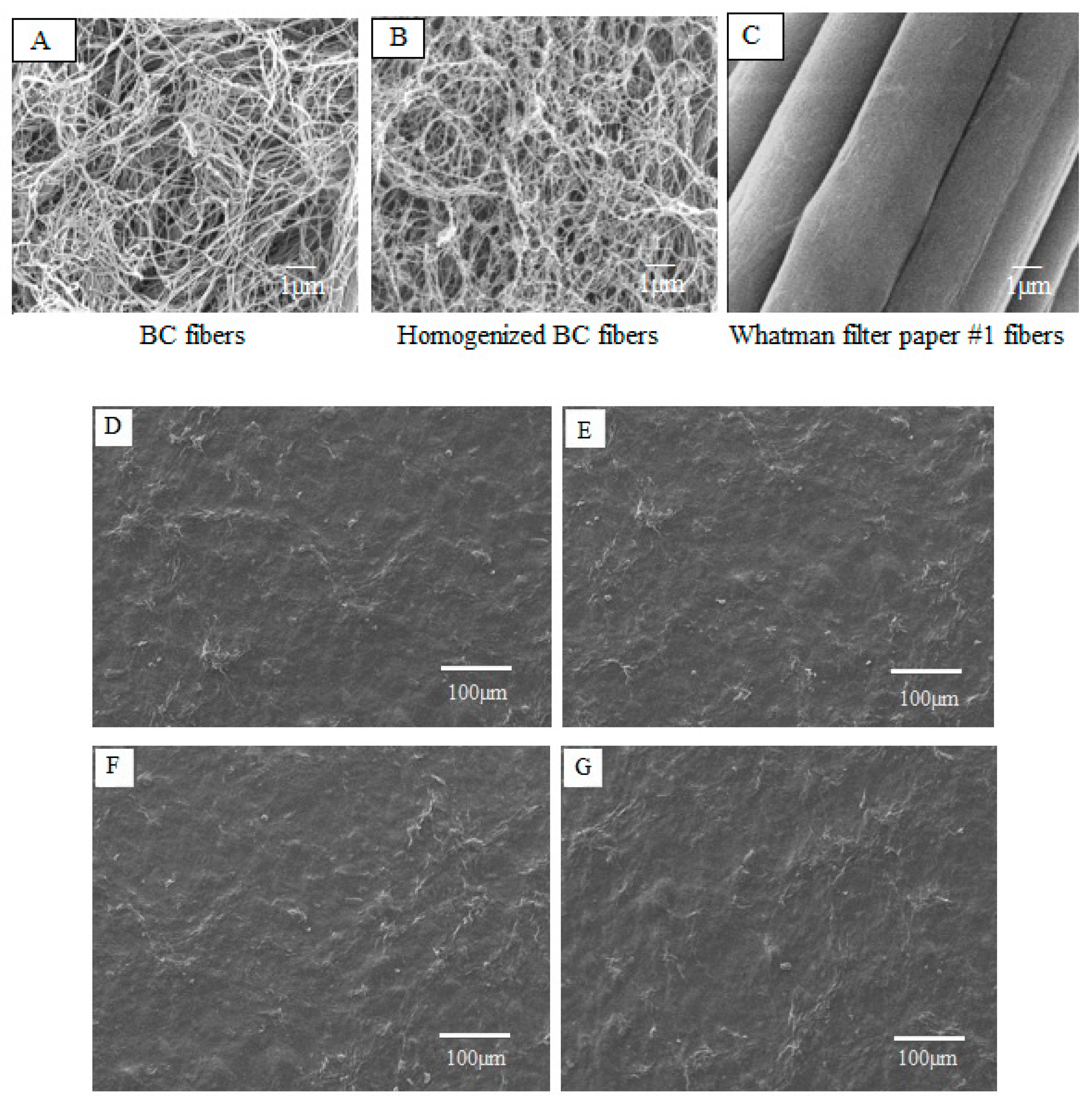 Molecules 25 03800 g001 Molecules 25 03800 g001