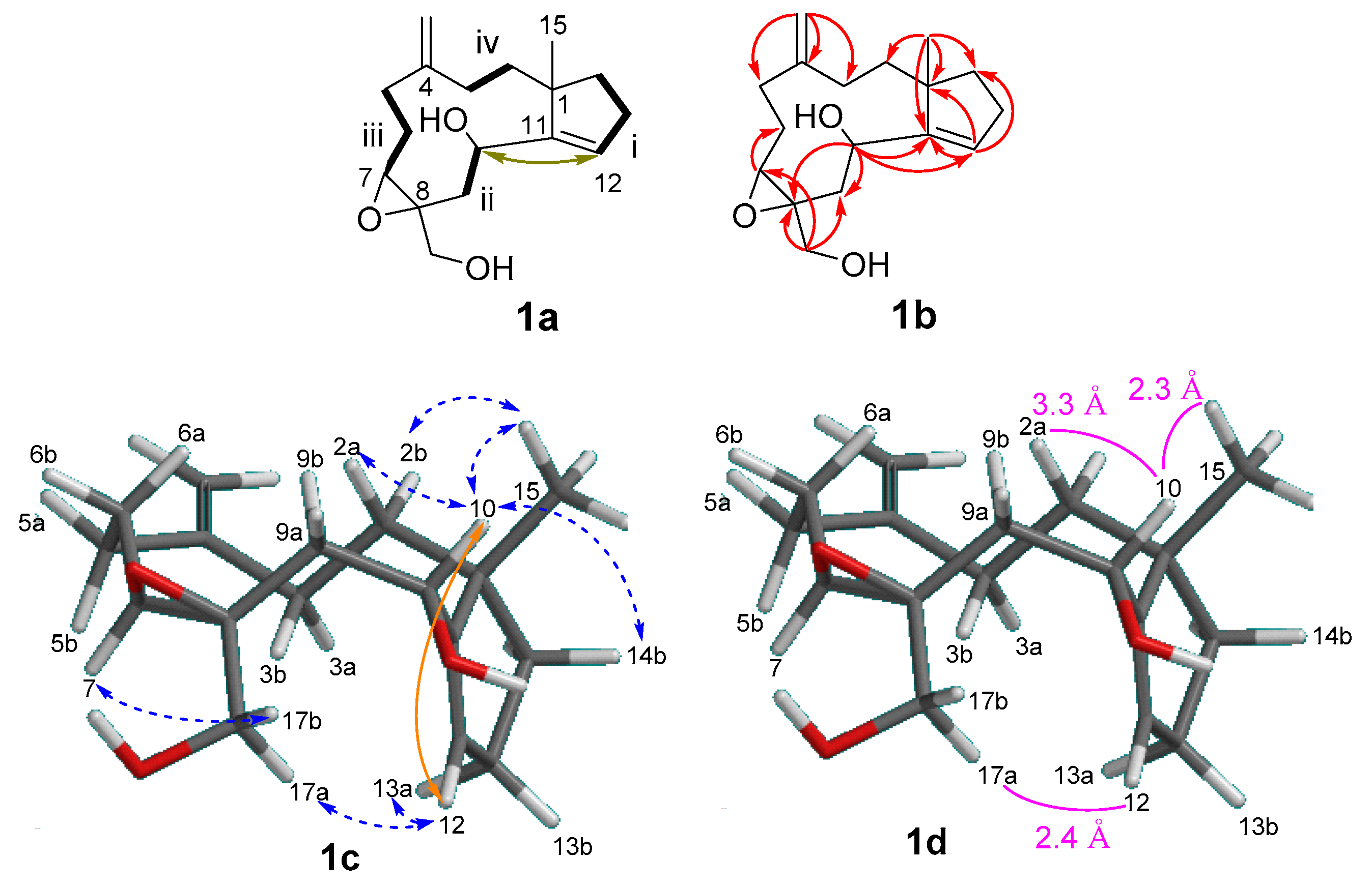 Molecules 25 03803 g002a Molecules 25 03803 g002a