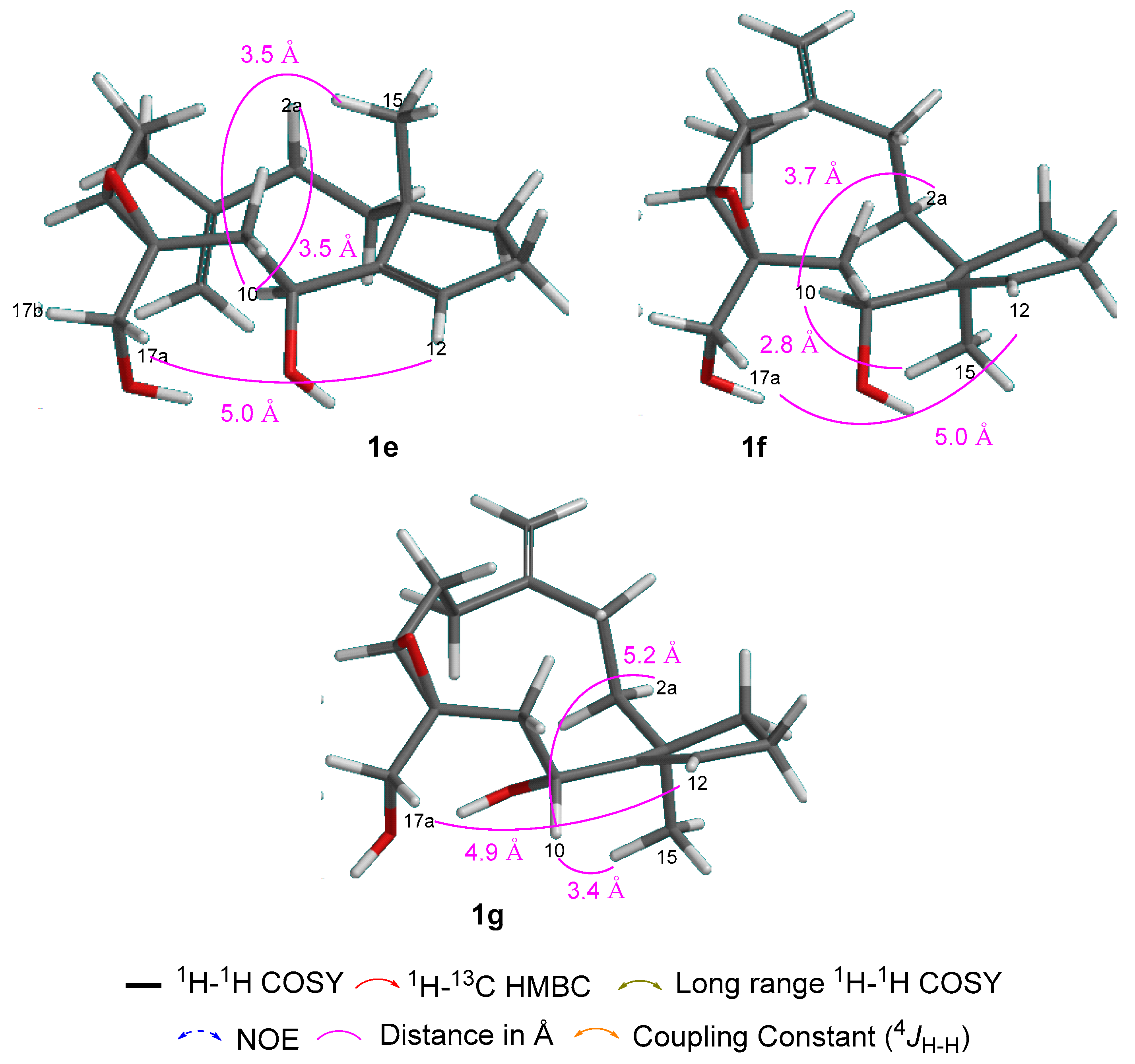 Molecules 25 03803 g002b Molecules 25 03803 g002b