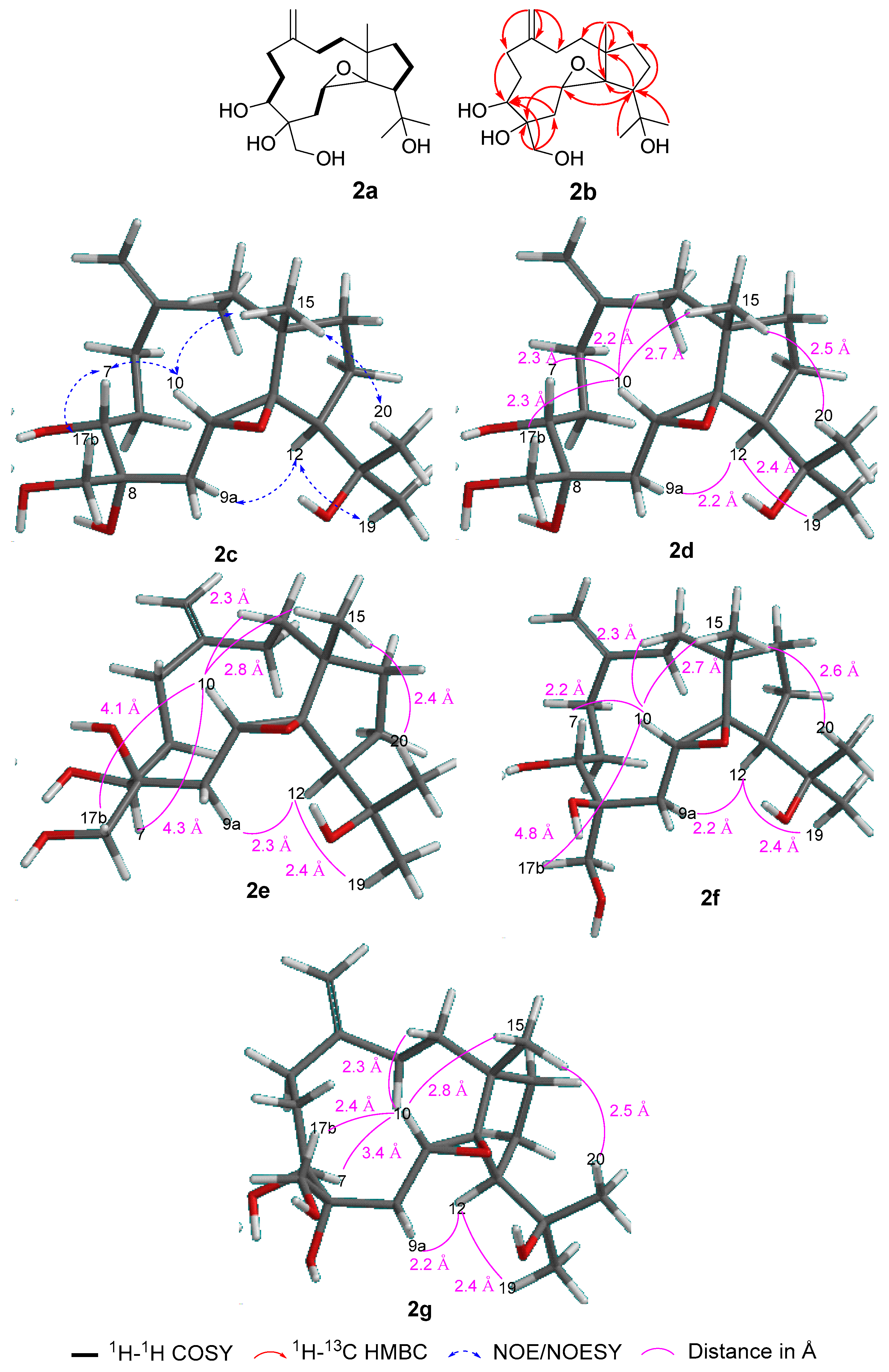 Molecules 25 03803 g003 Molecules 25 03803 g003