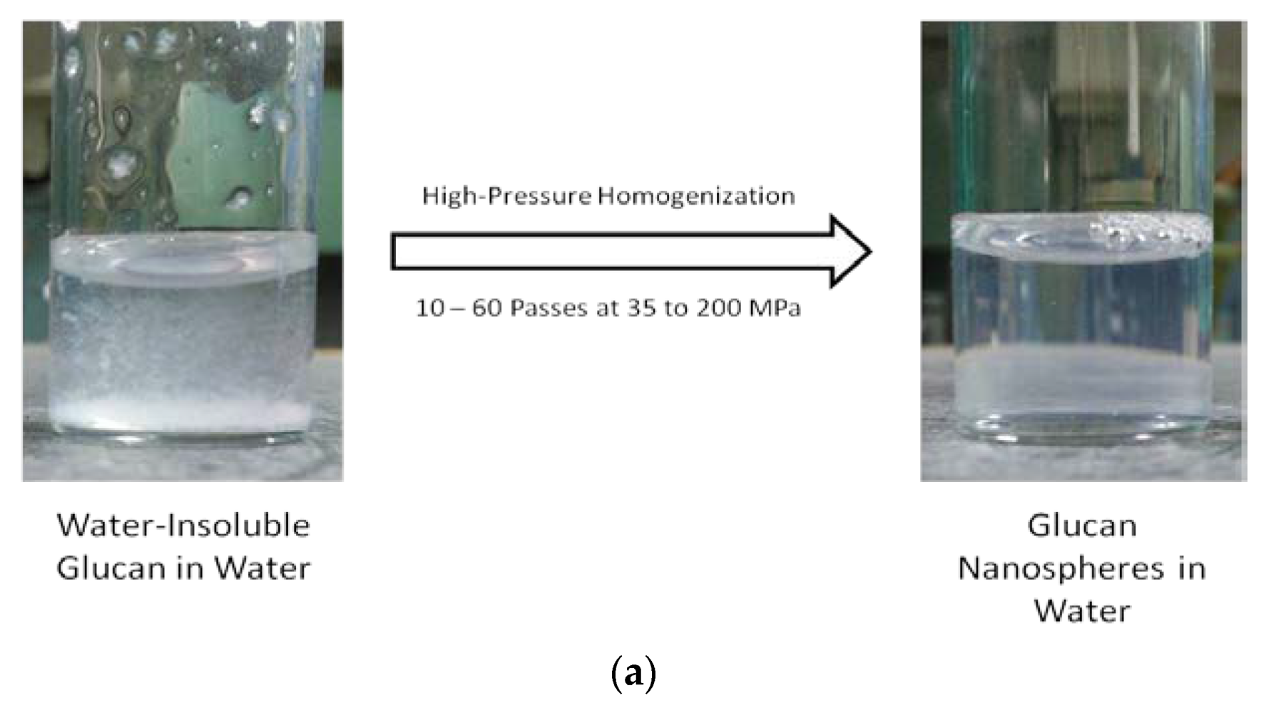 Molecules 25 03807 g003a Molecules 25 03807 g003a