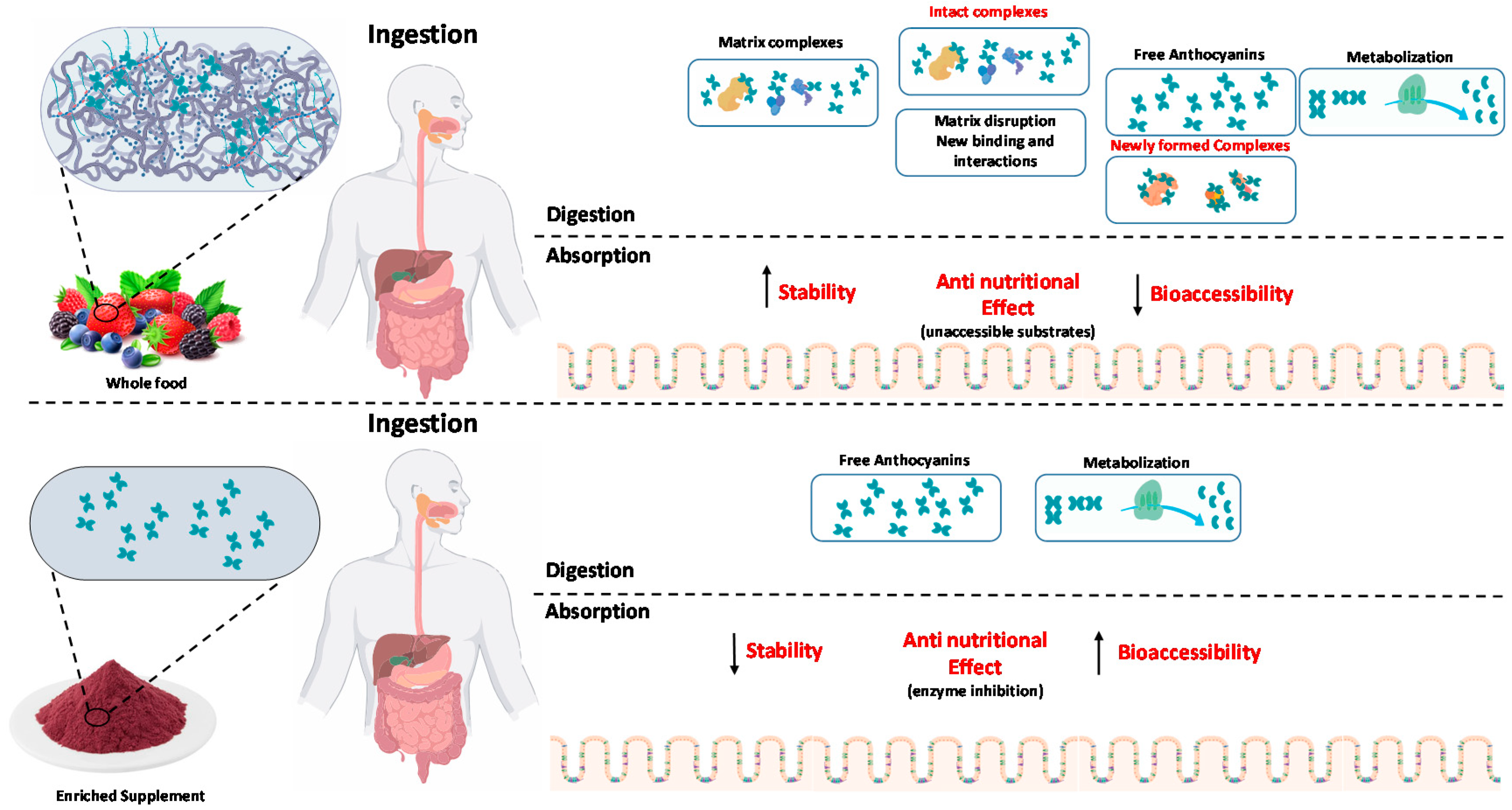Molecules 25 03813 g003