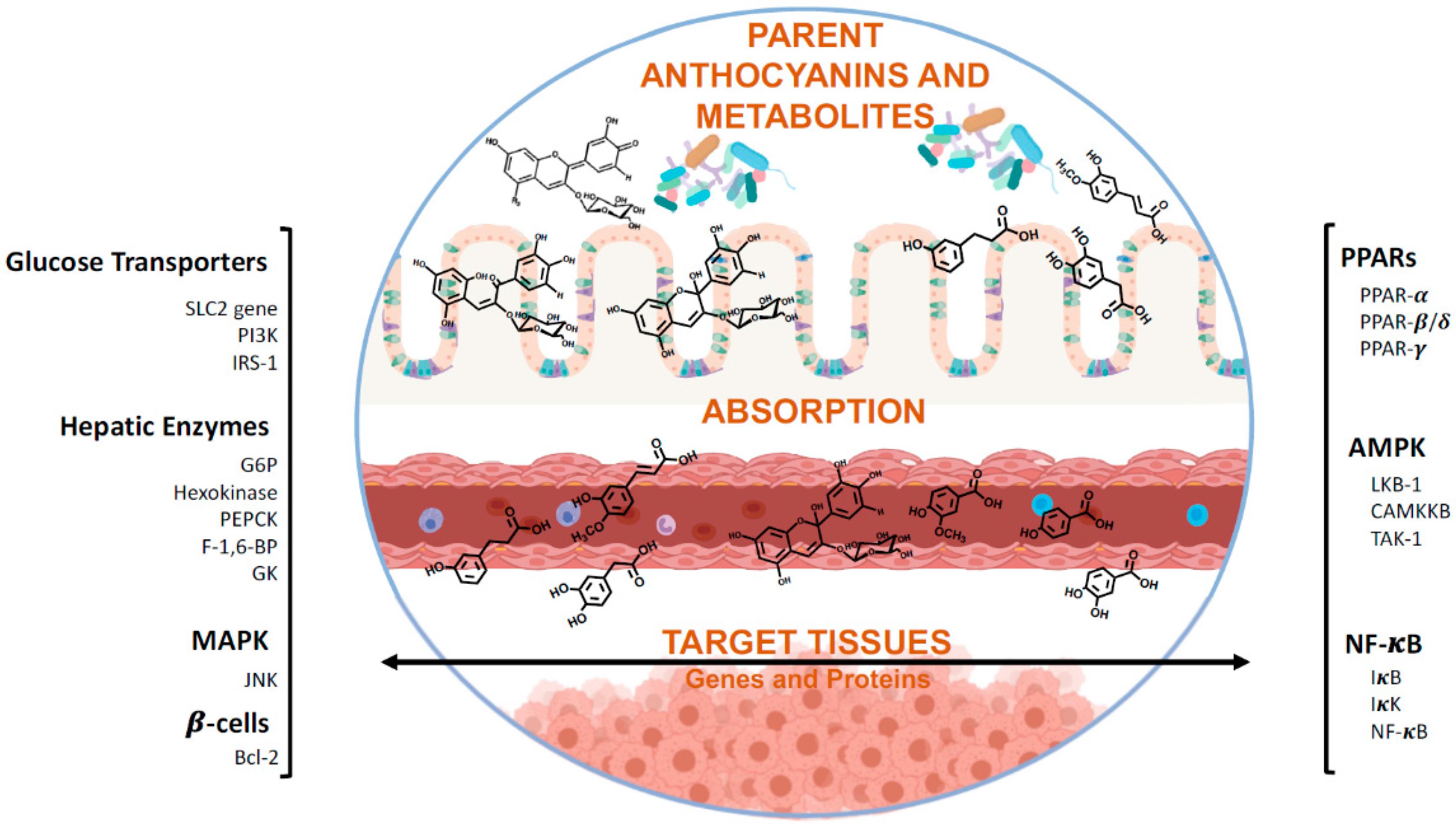 Molecules 25 03813 g005