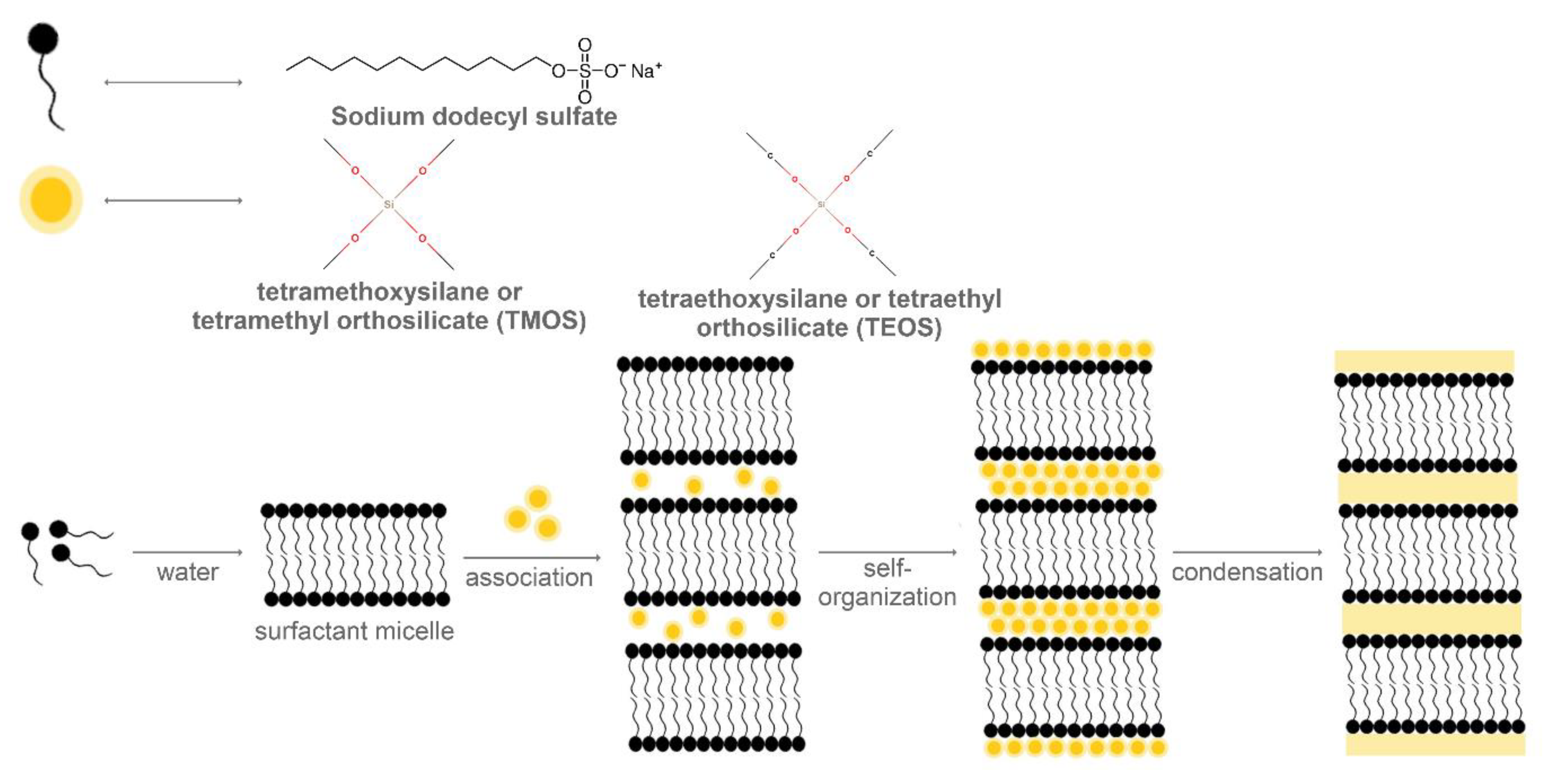 Molecules 25 03814 g004 Molecules 25 03814 g004