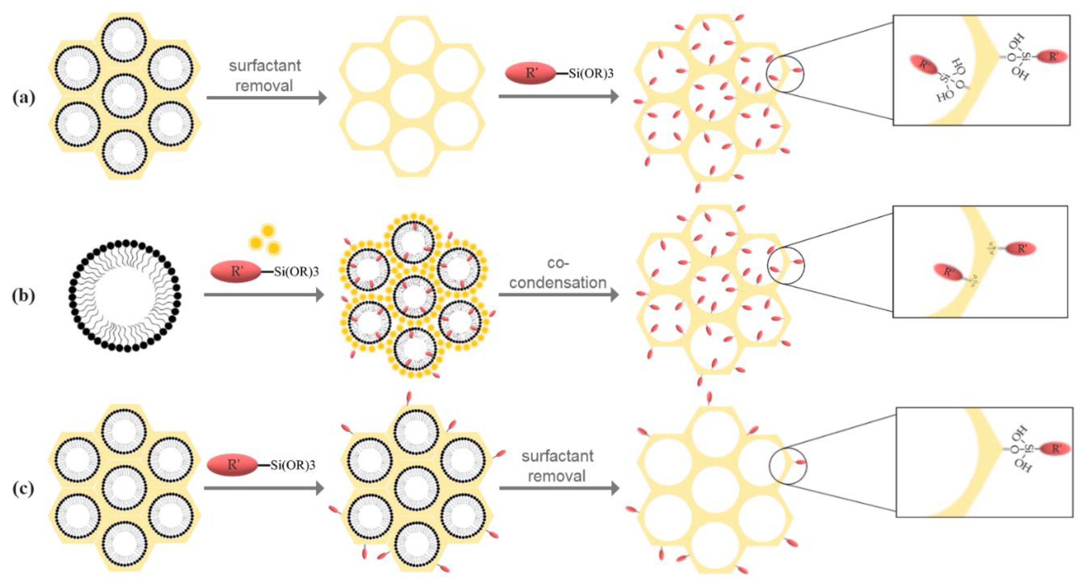 Molecules 25 03814 g005 Molecules 25 03814 g005