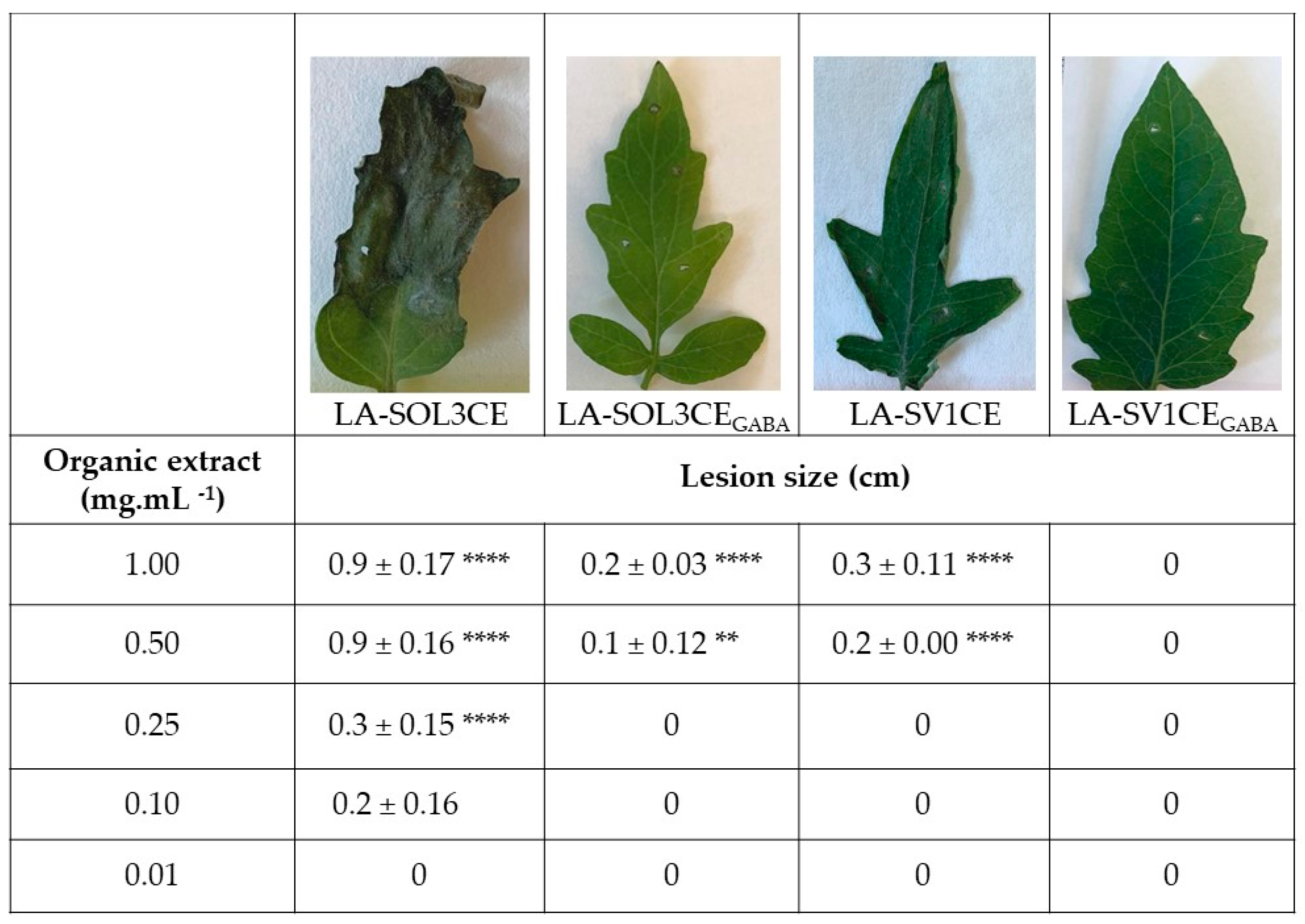 Molecules 25 03833 g002