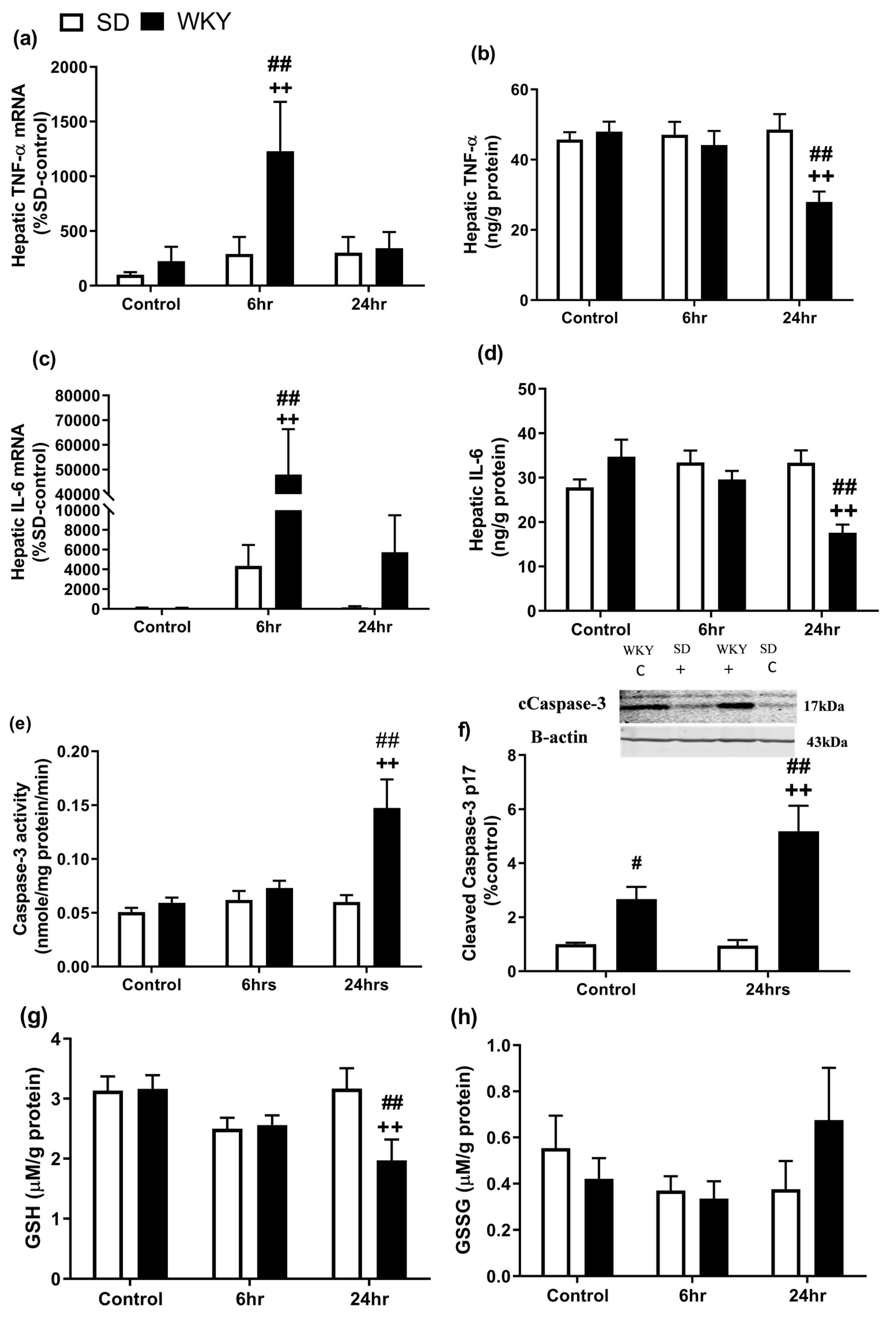 Molecules 25 03834 g003