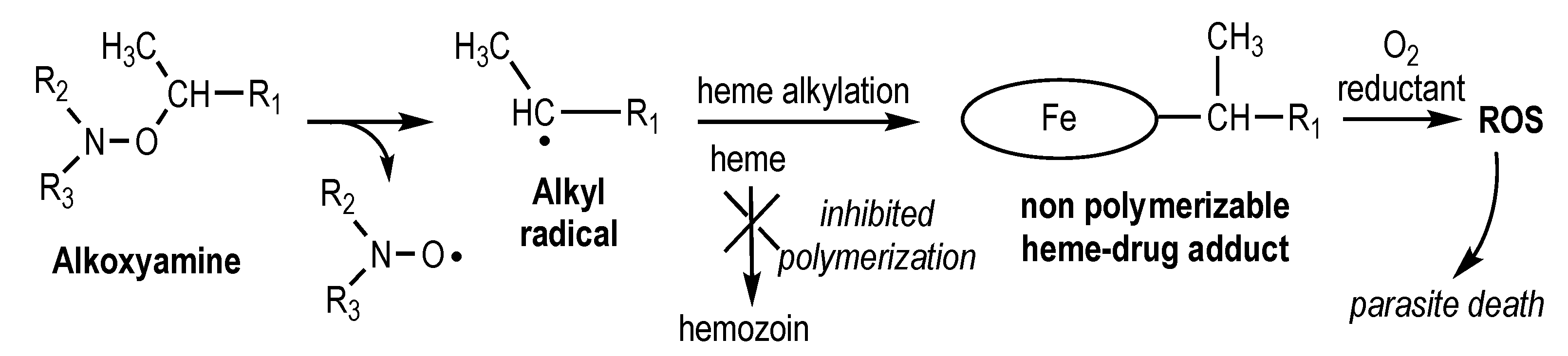 Molecules 25 03838 g001 Molecules 25 03838 g001