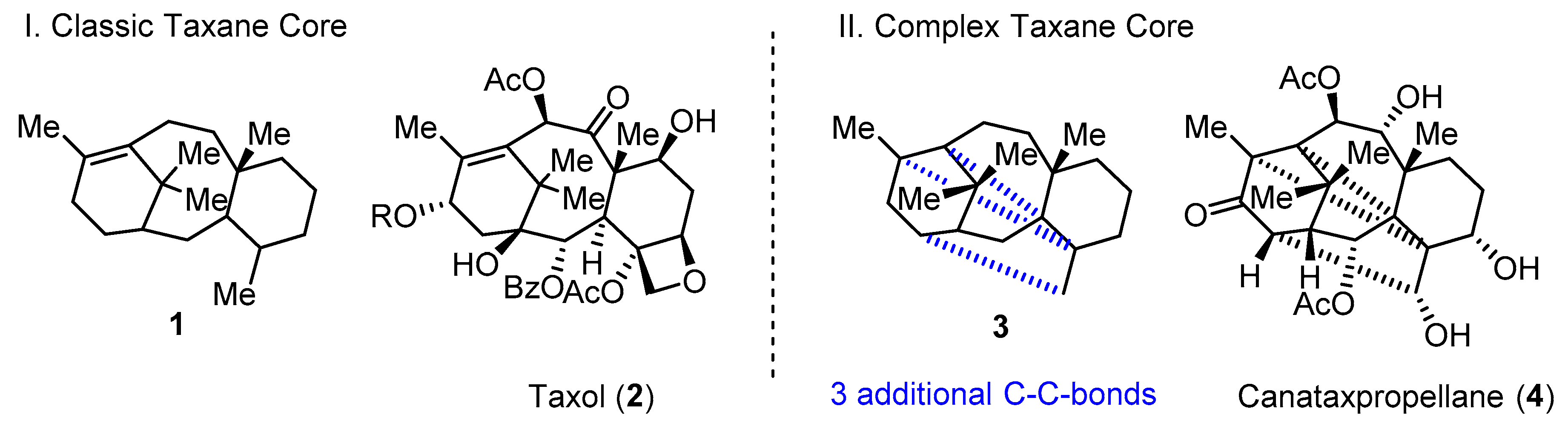 Molecules 25 03841 g001