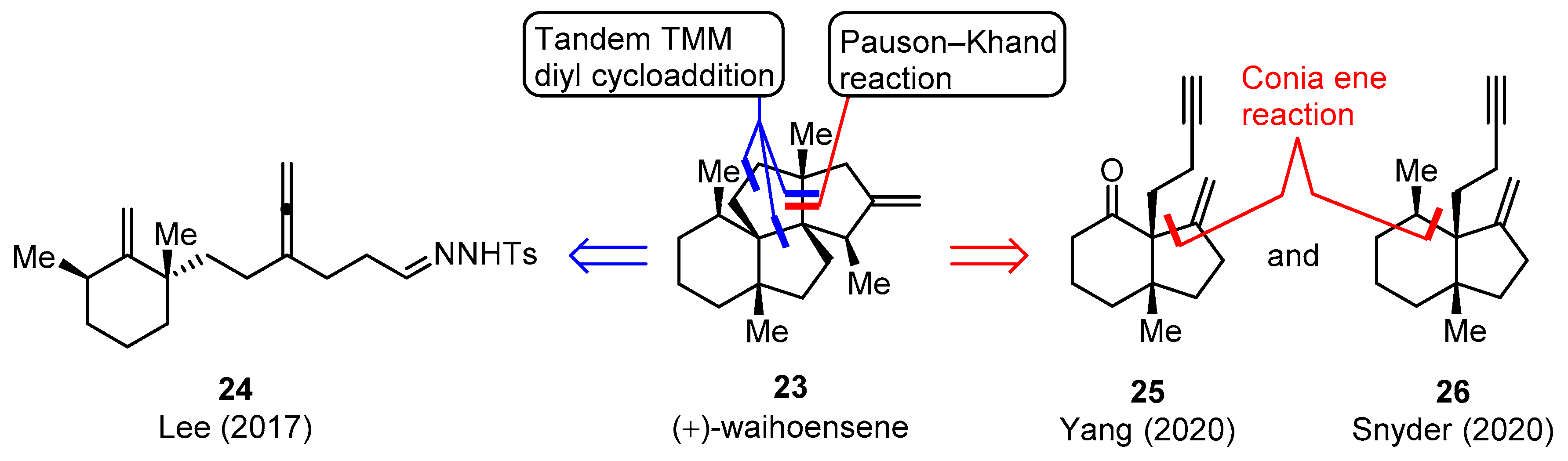Molecules 25 03841 g005