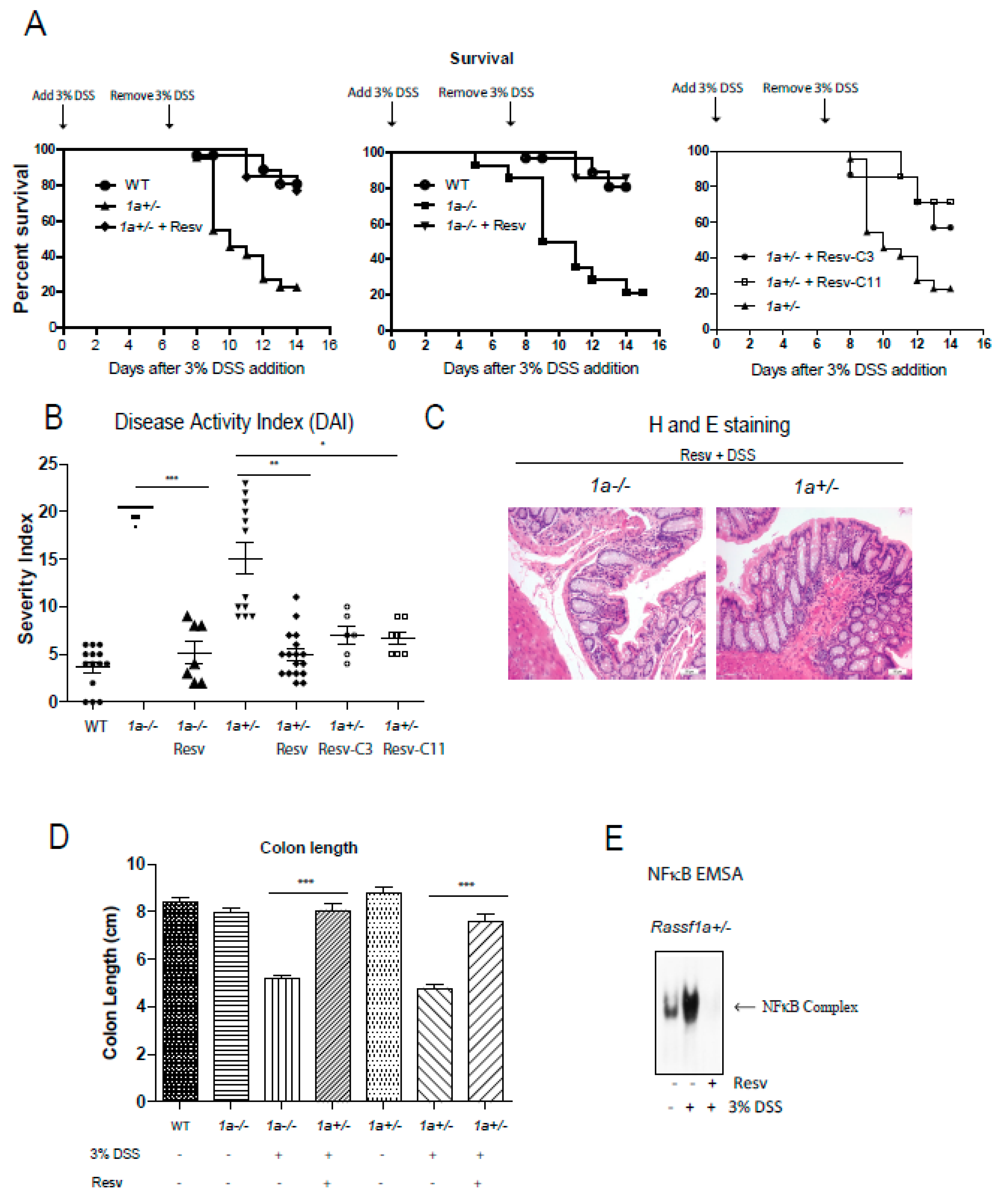 Molecules 25 03849 g005 Molecules 25 03849 g005