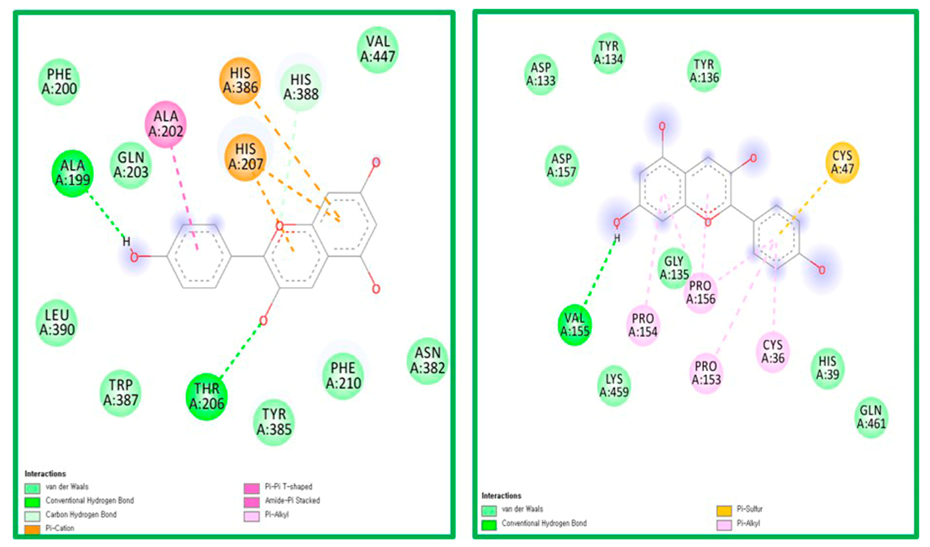 Molecules 25 03853 g004