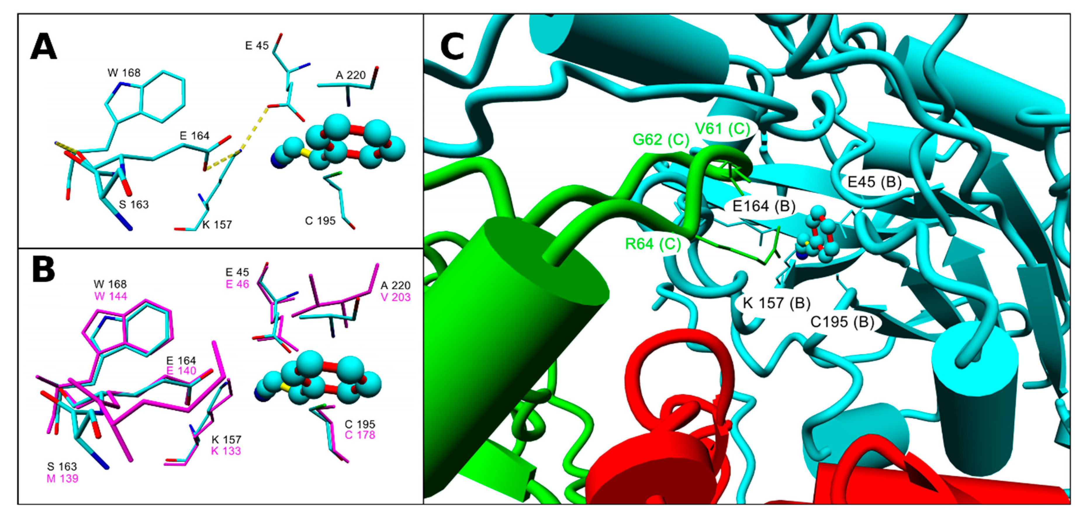 Molecules 25 03861 g002 Molecules 25 03861 g002