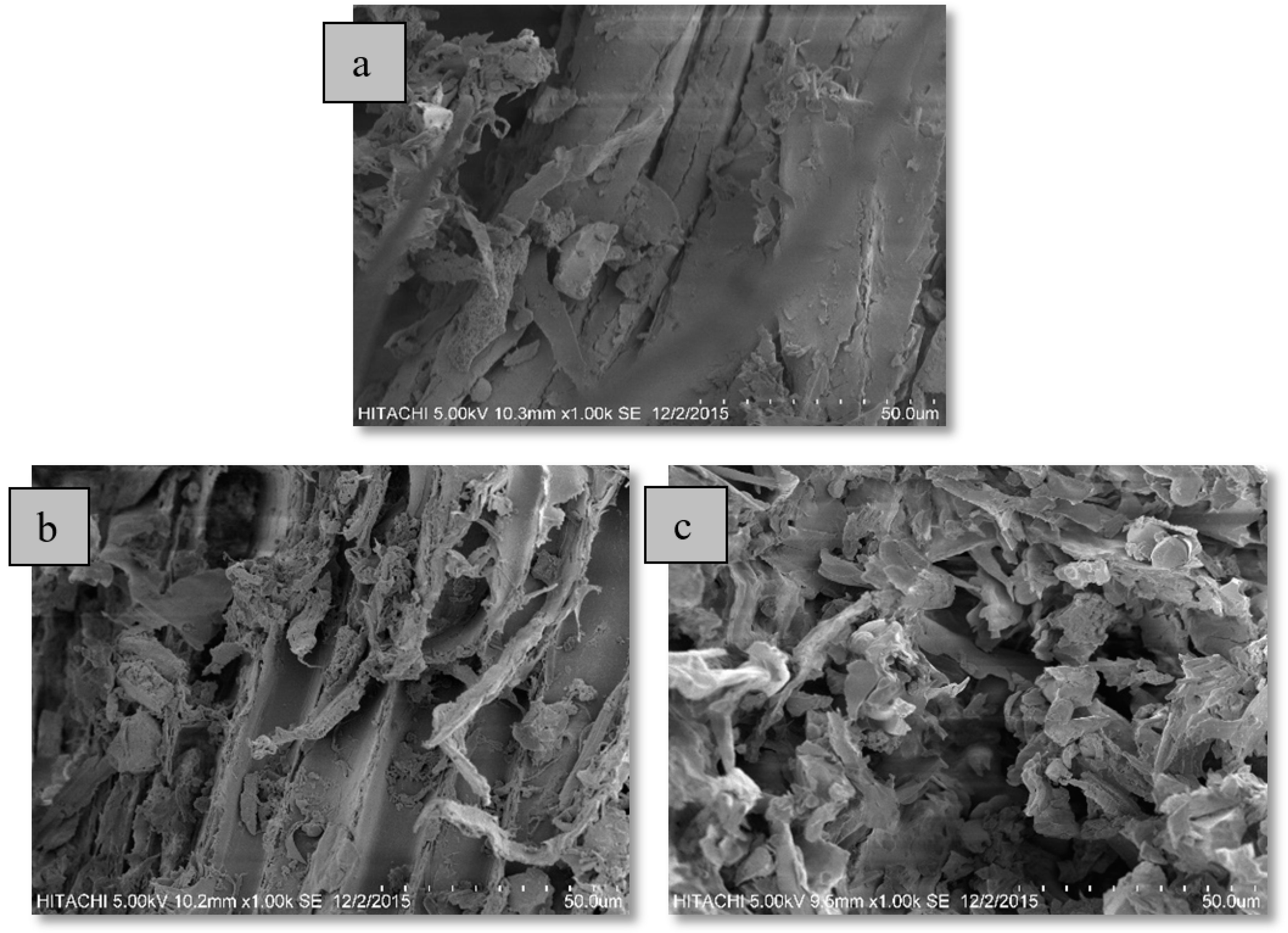 Molecules 25 03872 g005