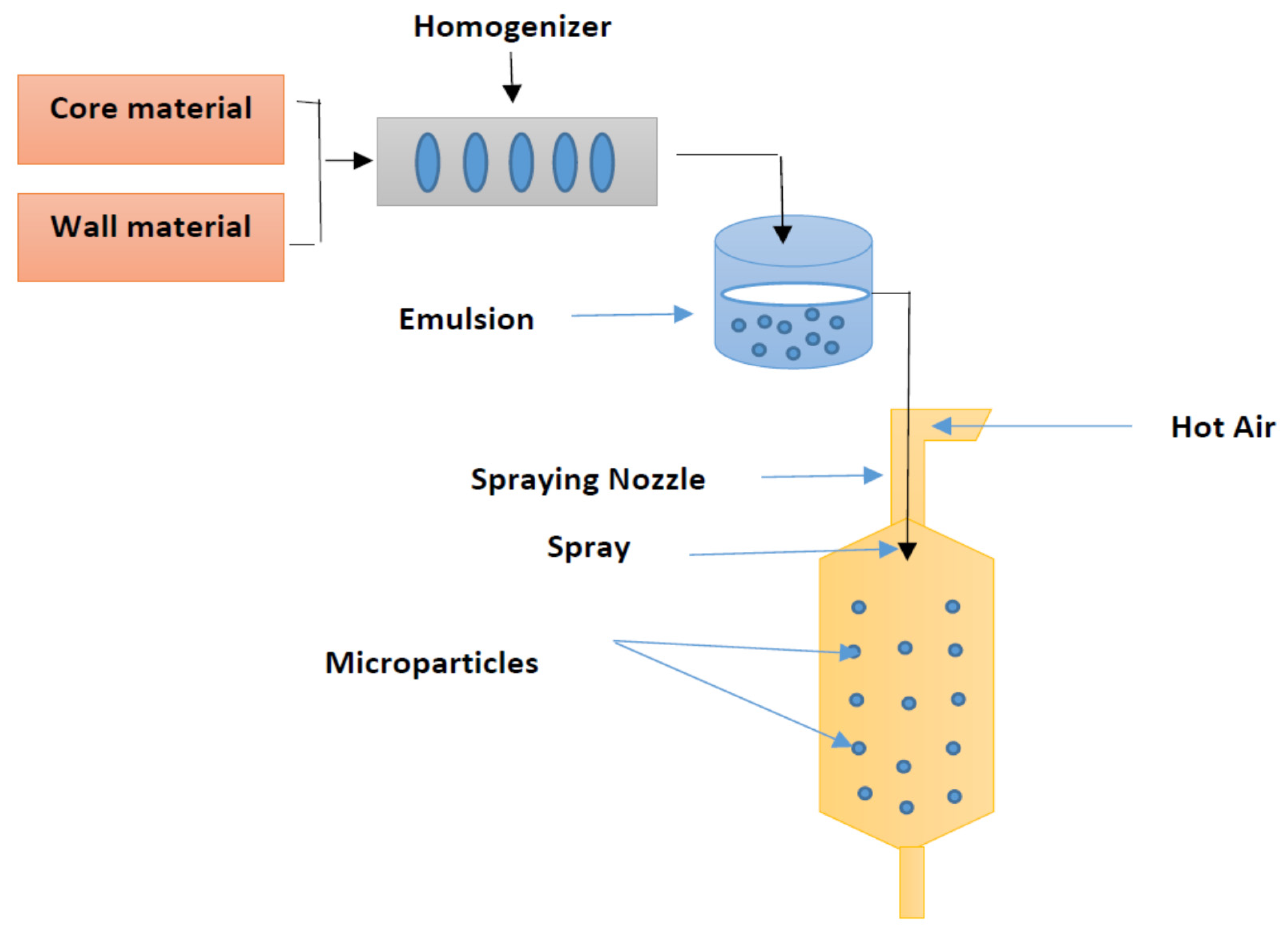 Molecules Free FullText Spray Drying for the Encapsulation of Oils