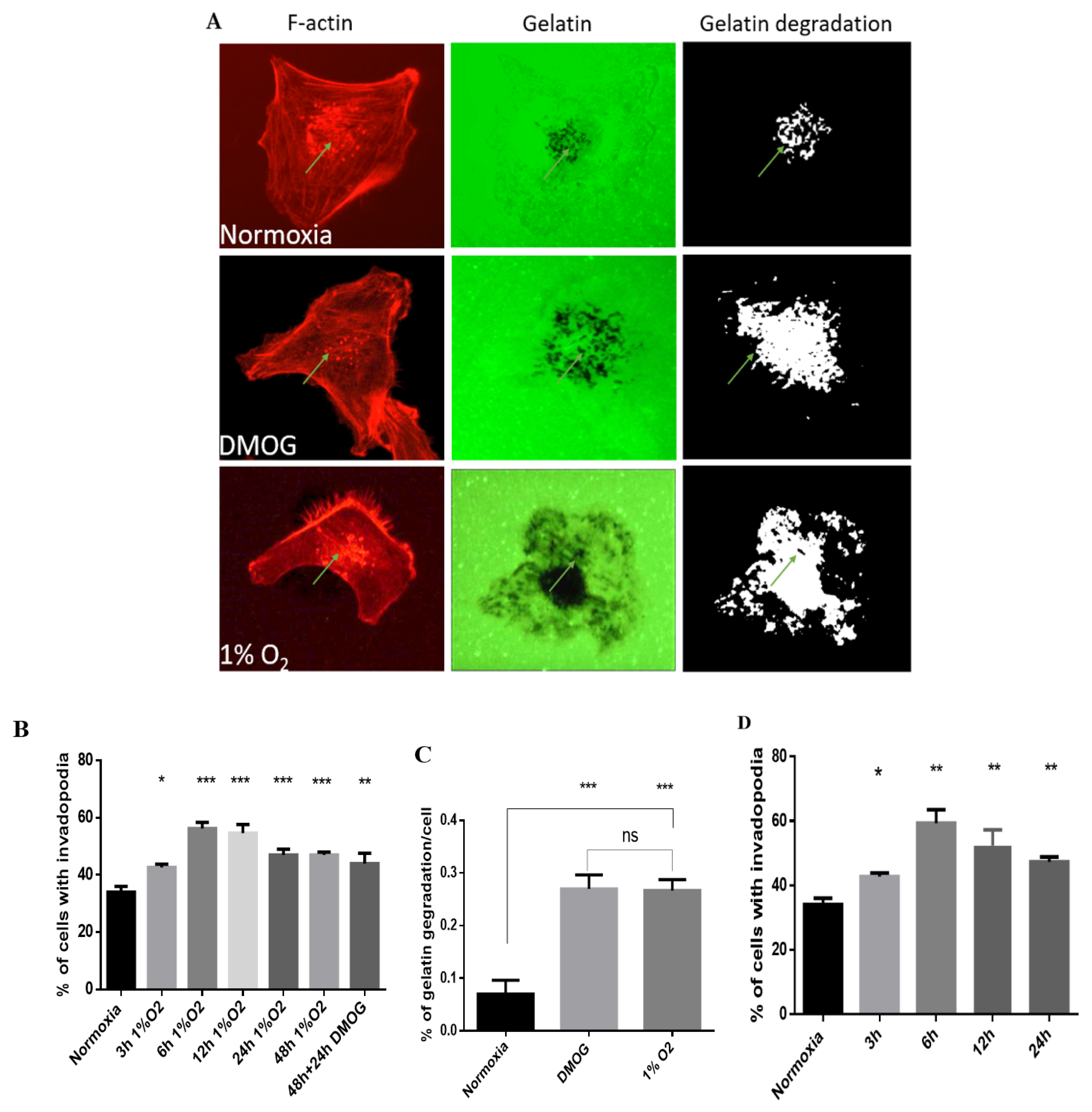 Molecules 25 03876 g001 Molecules 25 03876 g001