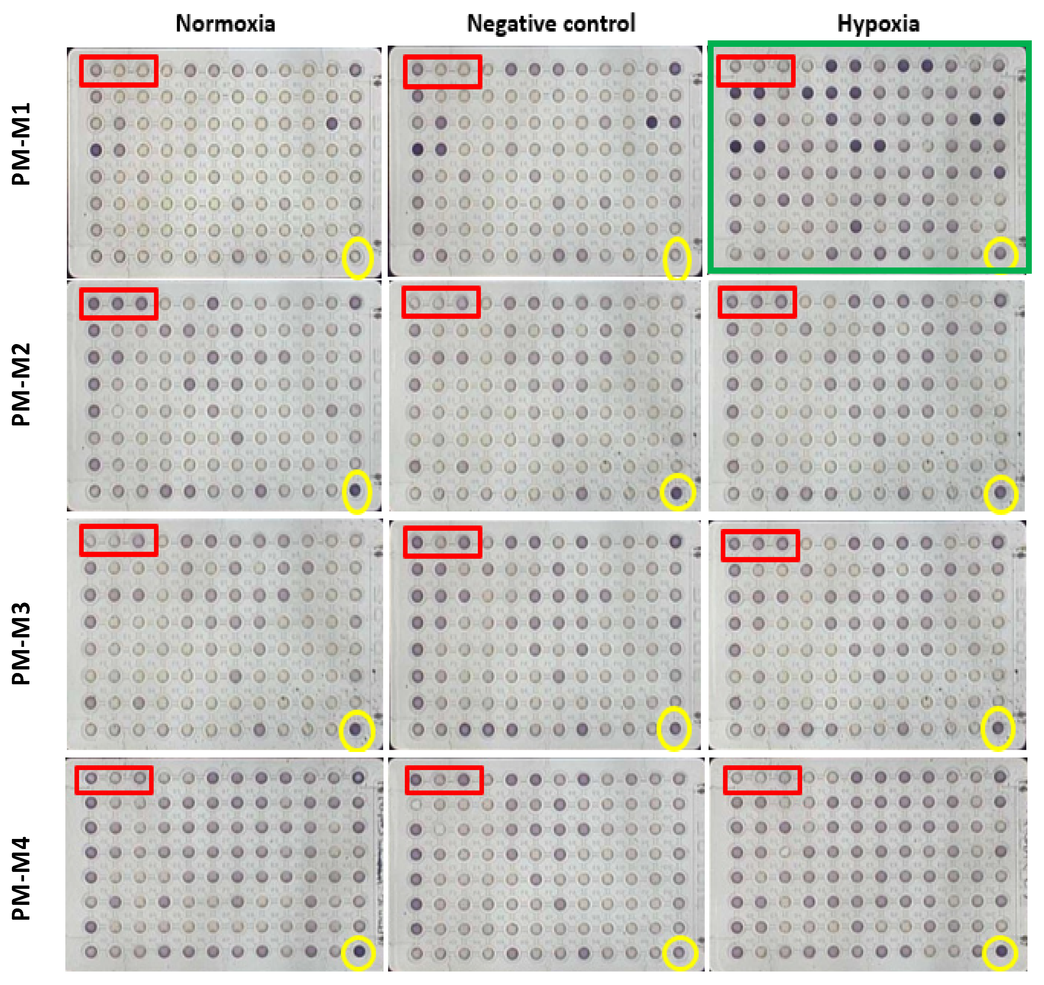 Molecules 25 03876 g003 Molecules 25 03876 g003