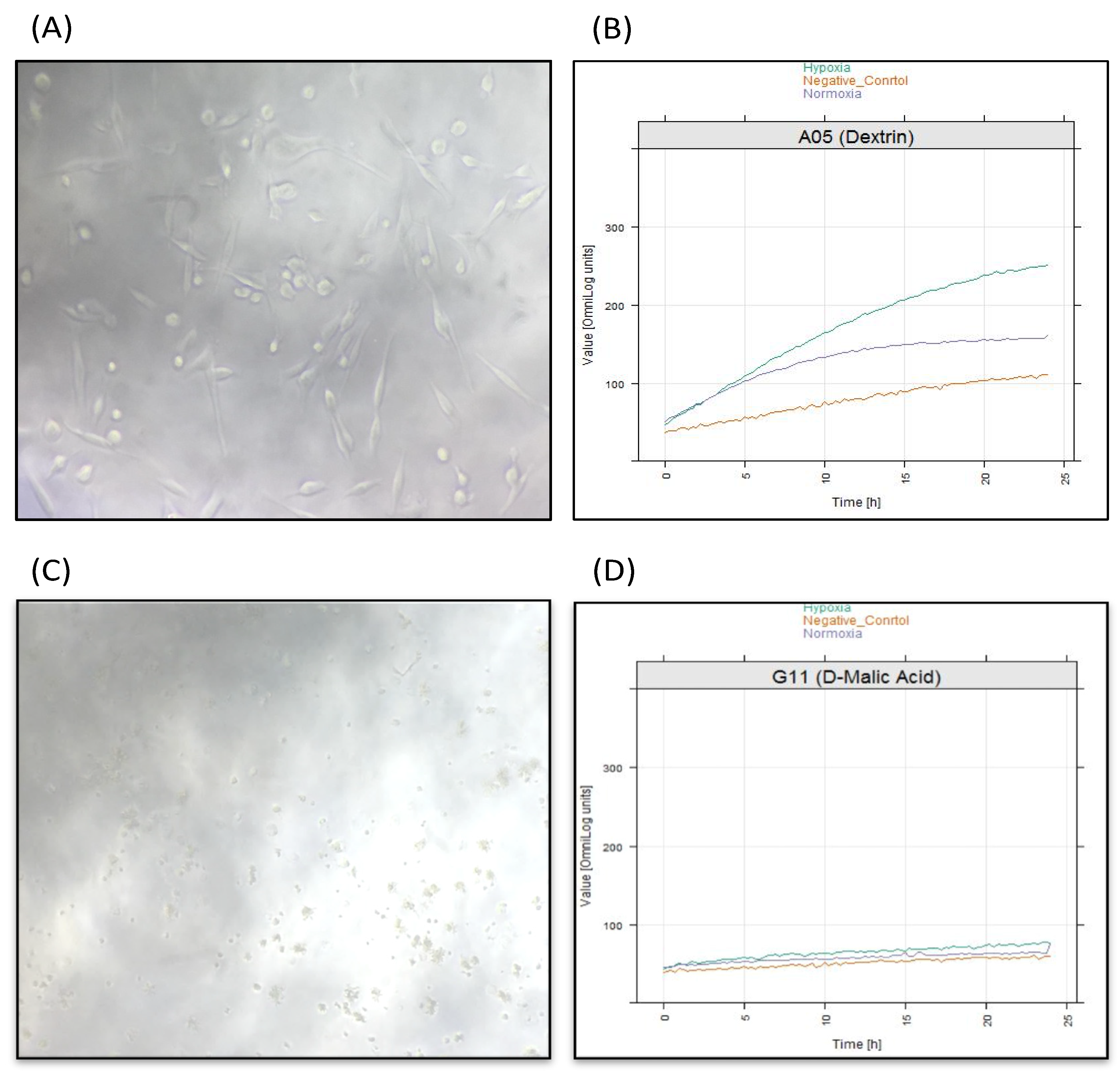 Molecules 25 03876 g007 Molecules 25 03876 g007