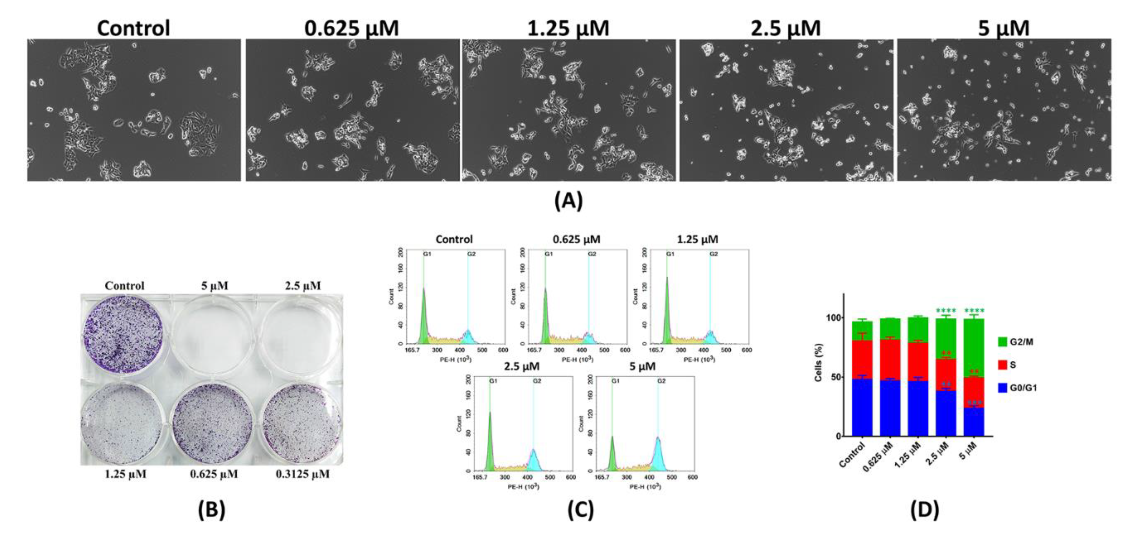 Molecules 25 03877 g004 Molecules 25 03877 g004