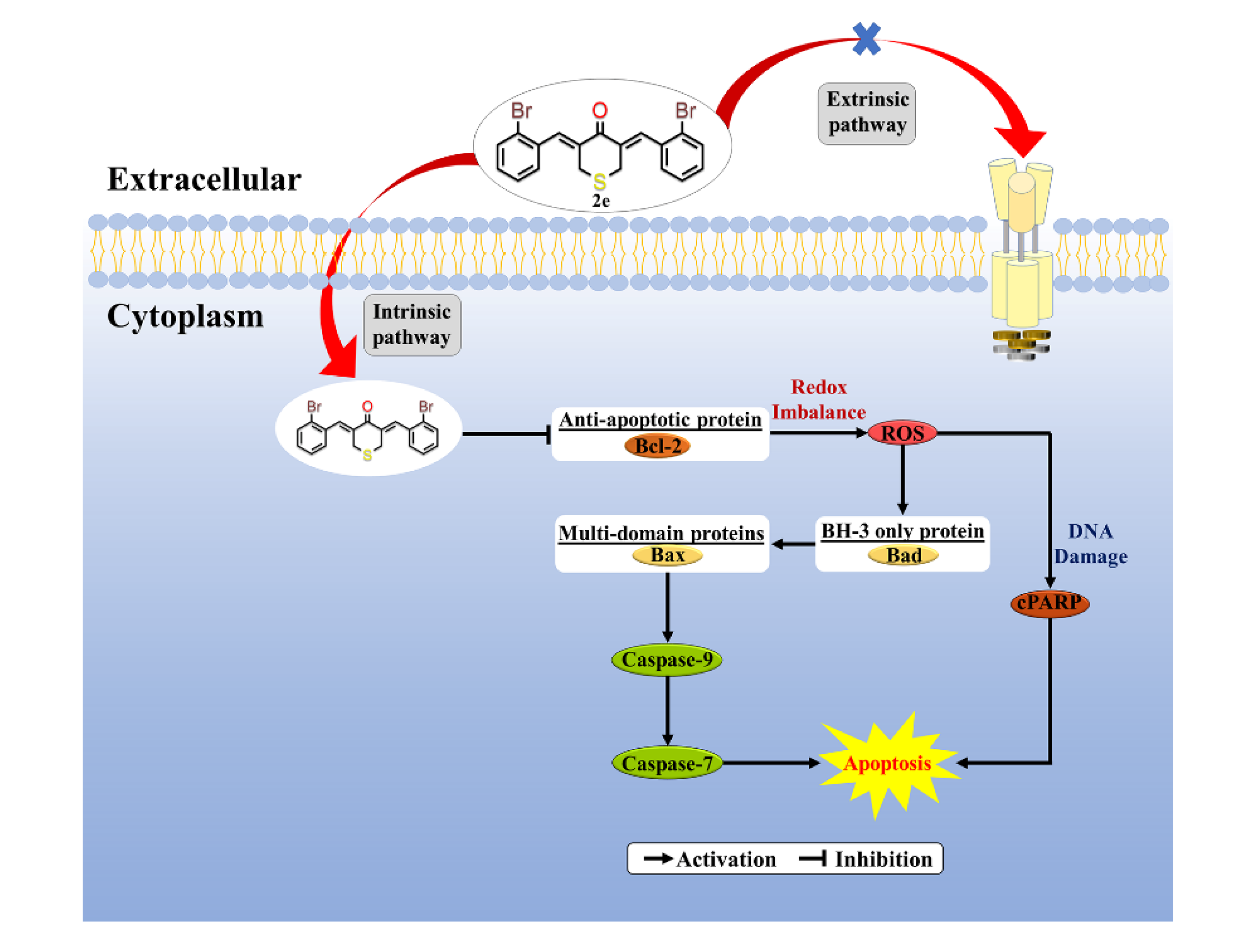 Molecules 25 03877 g006 Molecules 25 03877 g006
