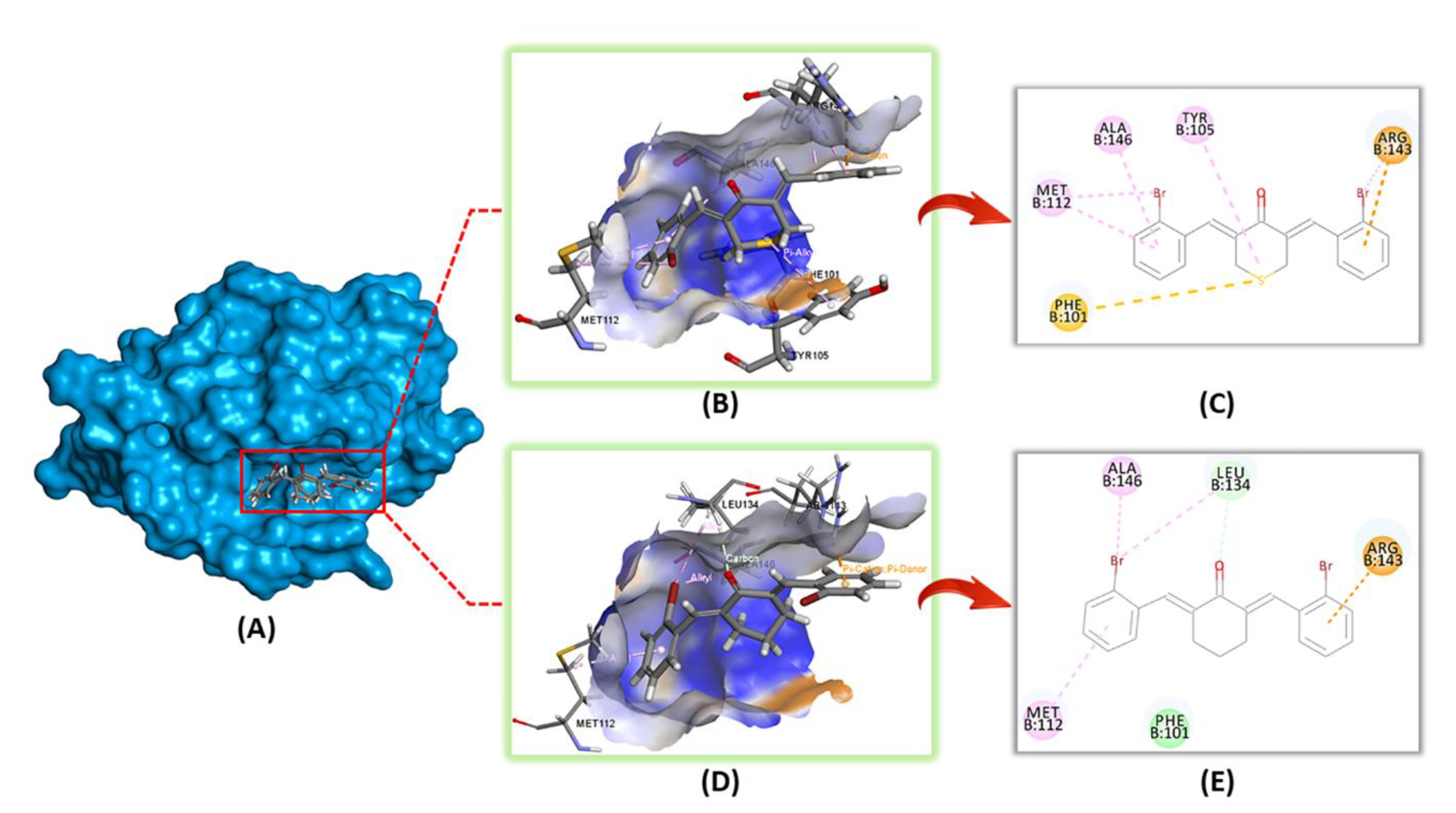 Molecules 25 03877 g008 Molecules 25 03877 g008