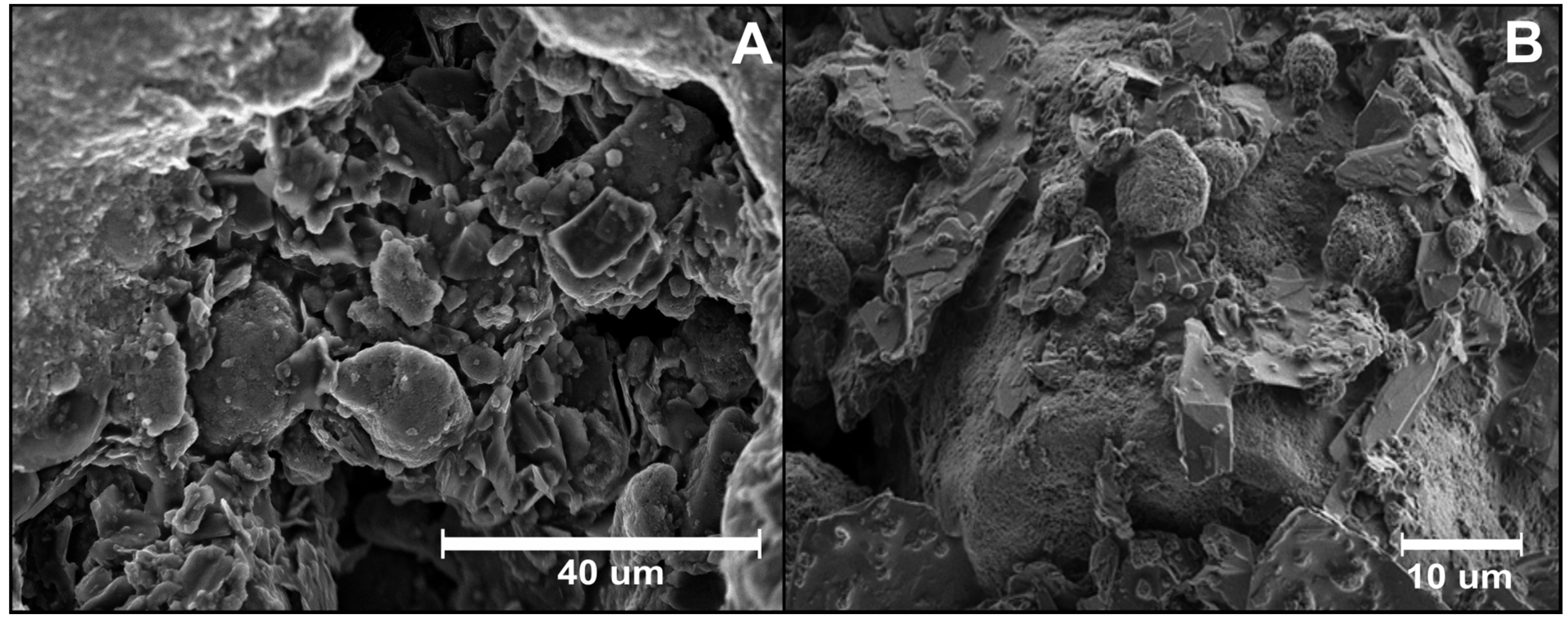 Molecules 25 03884 g001 Molecules 25 03884 g001