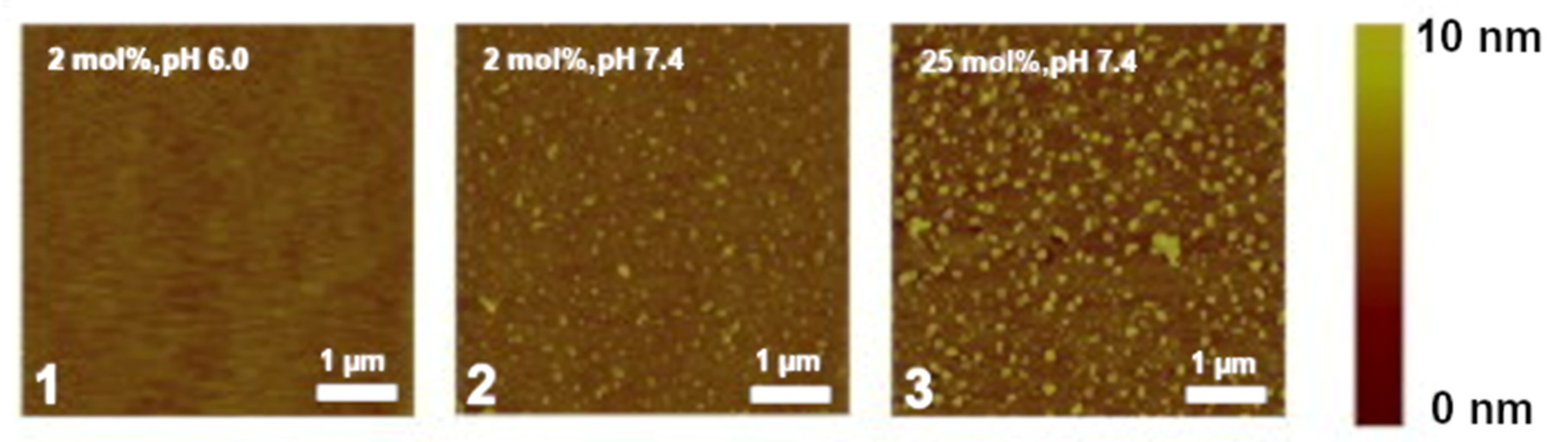 Molecules 25 03885 g005 Molecules 25 03885 g005