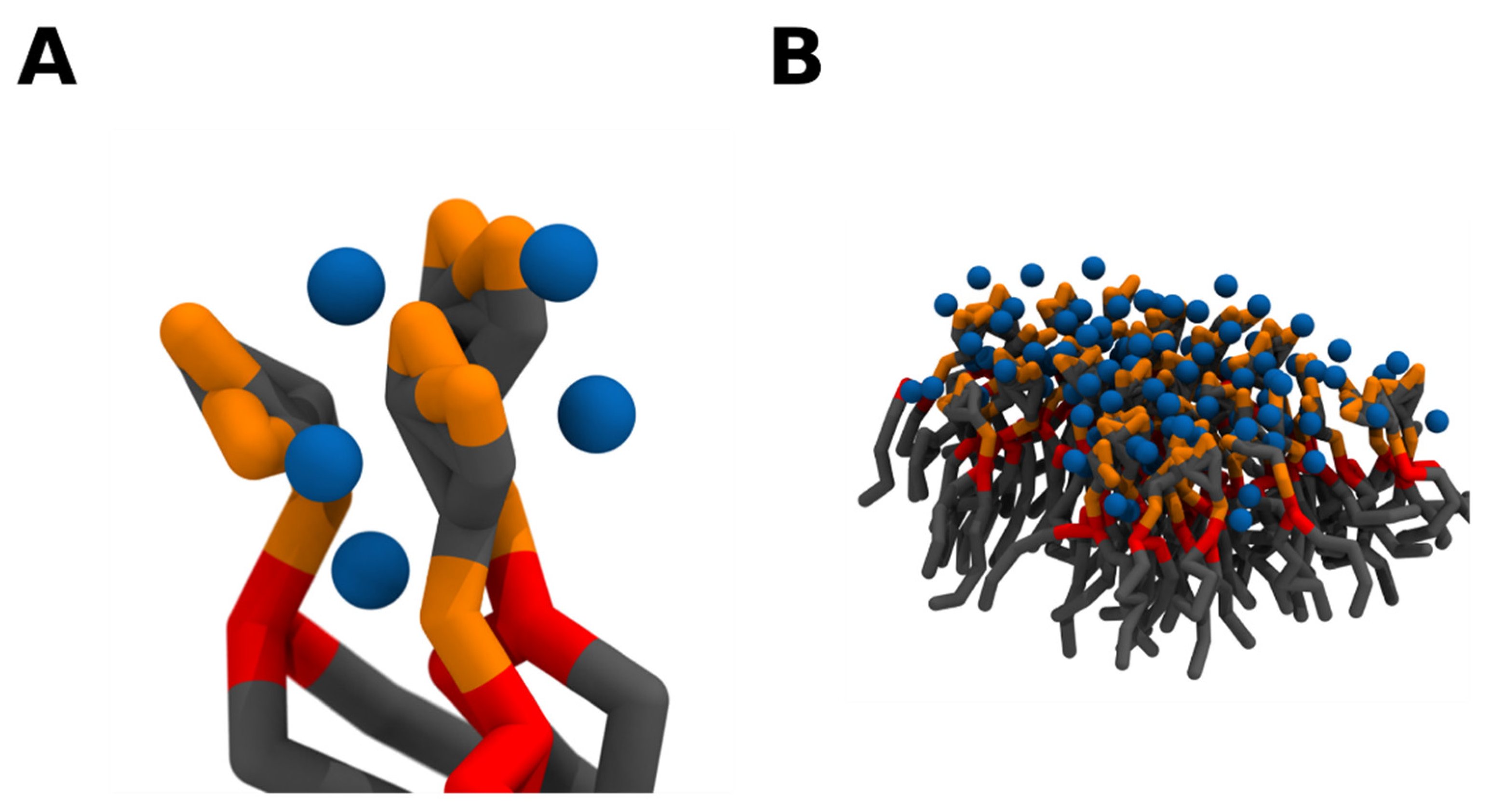 Molecules Free Full Text Structure And Lateral Organization Of Phosphatidylinositol 4 5 Bisphosphate Html