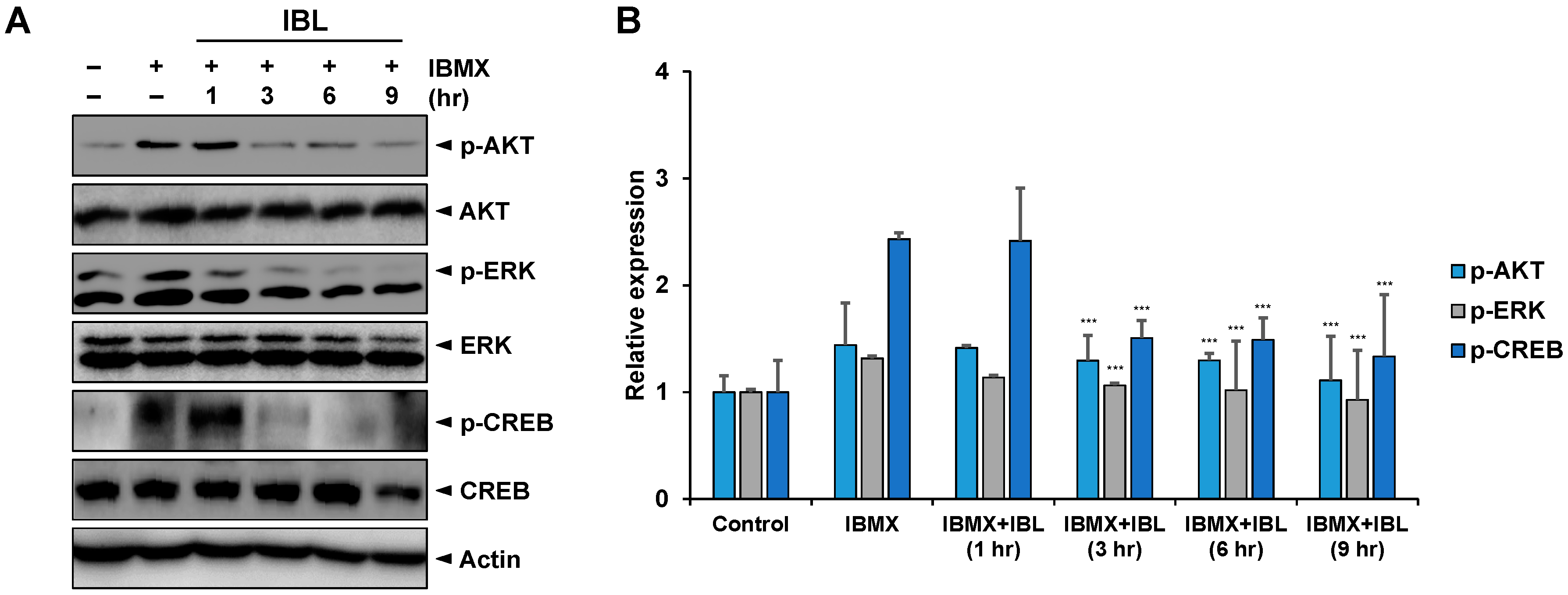 Molecules 25 03887 g007 Molecules 25 03887 g007
