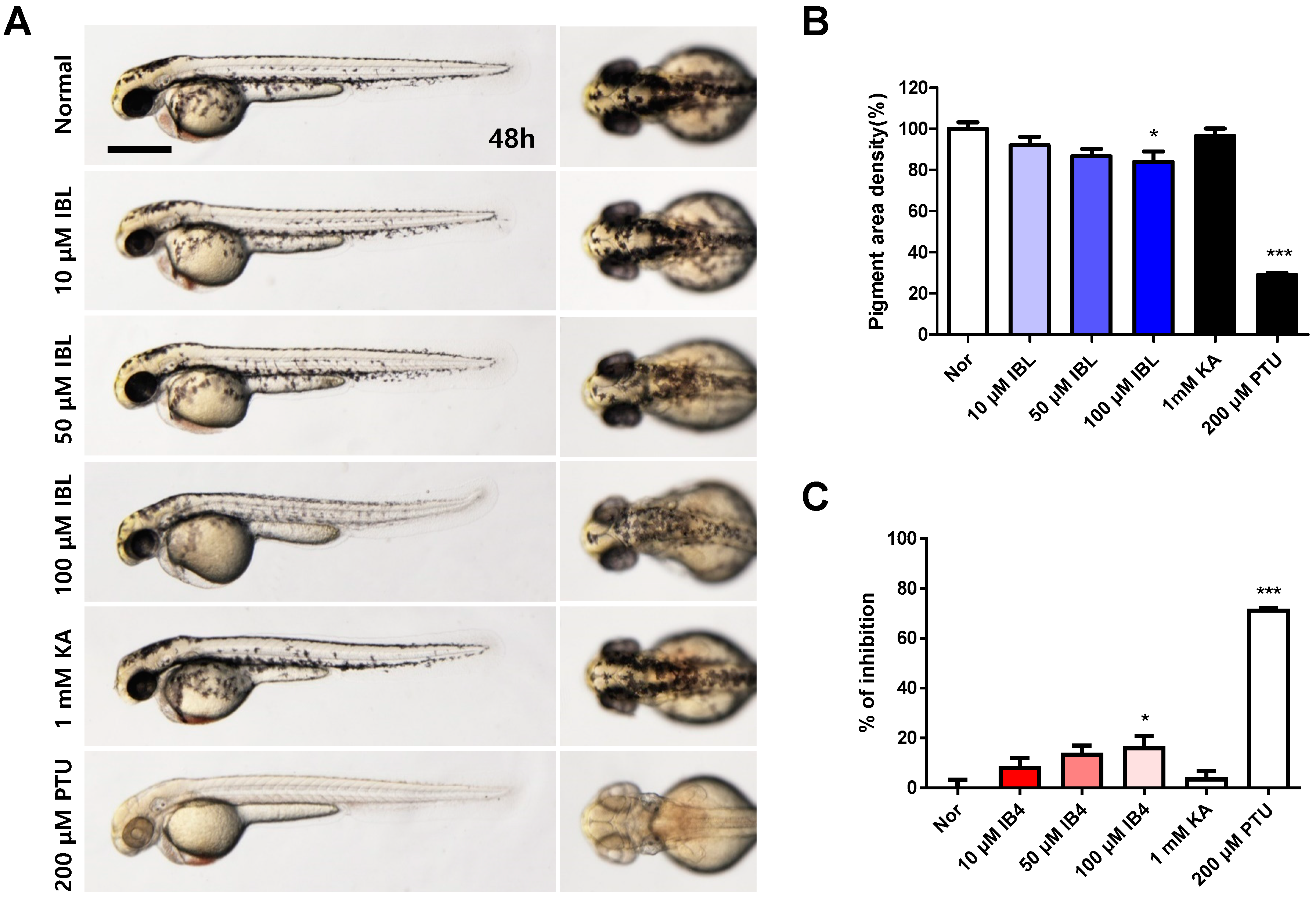 Molecules 25 03887 g008 Molecules 25 03887 g008