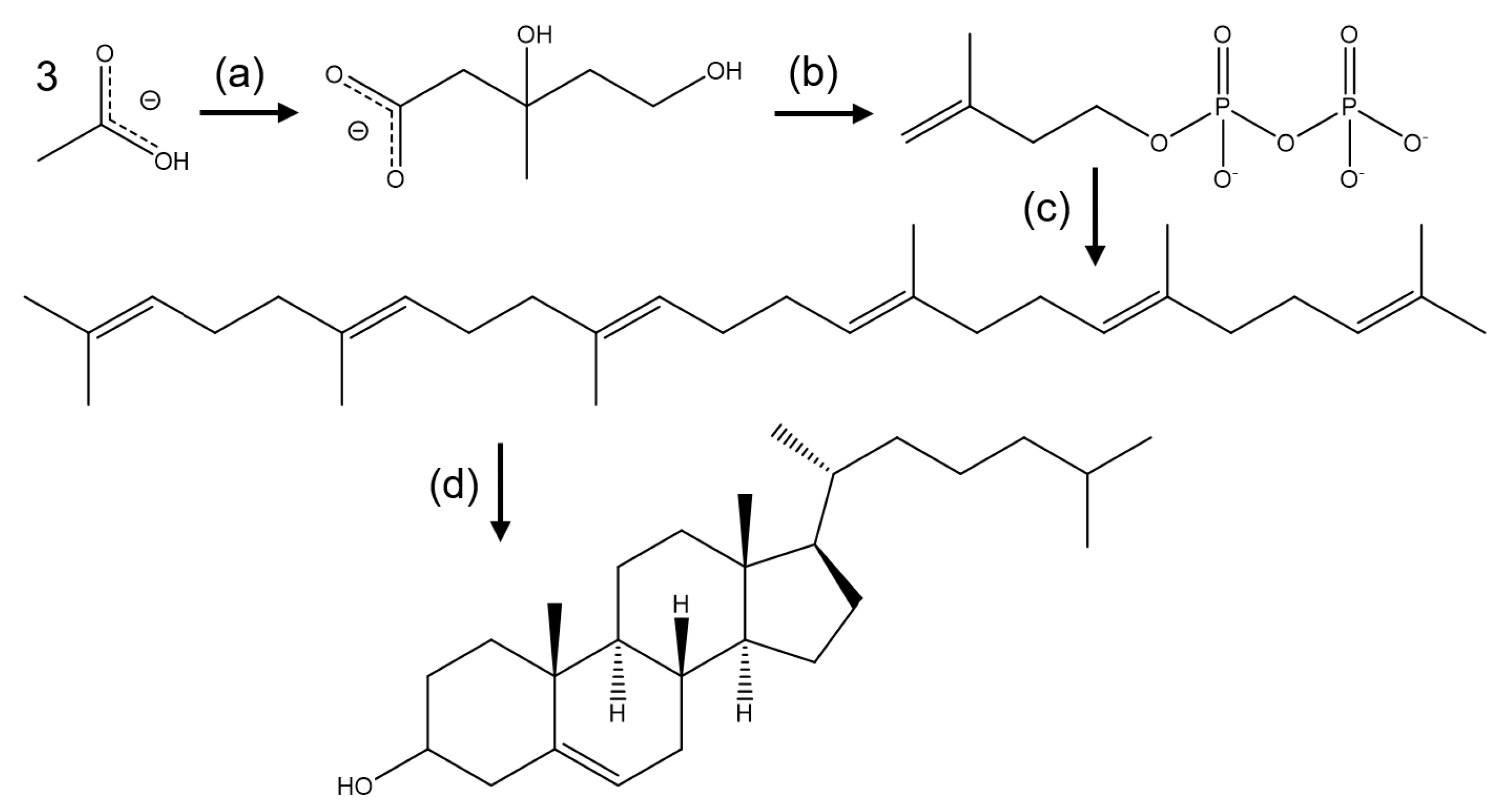 Molecules 25 03891 g003