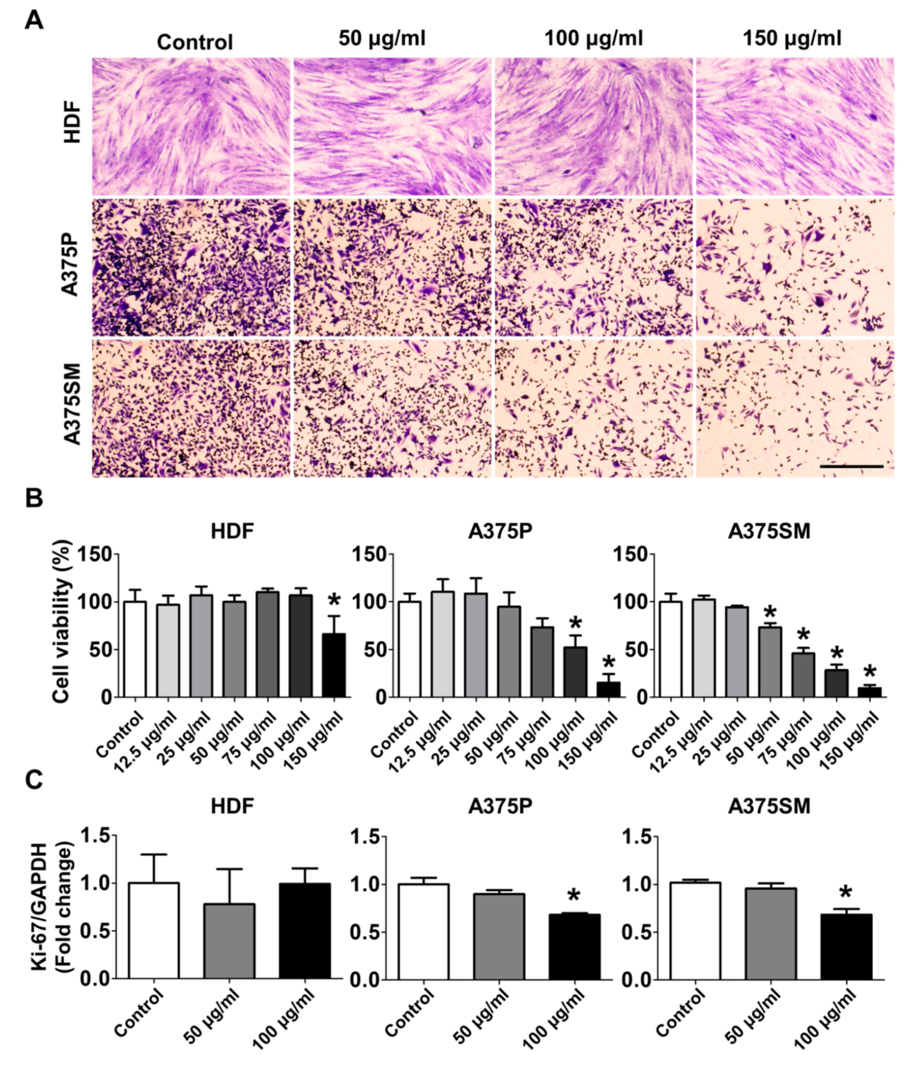 Molecules 25 03895 g001