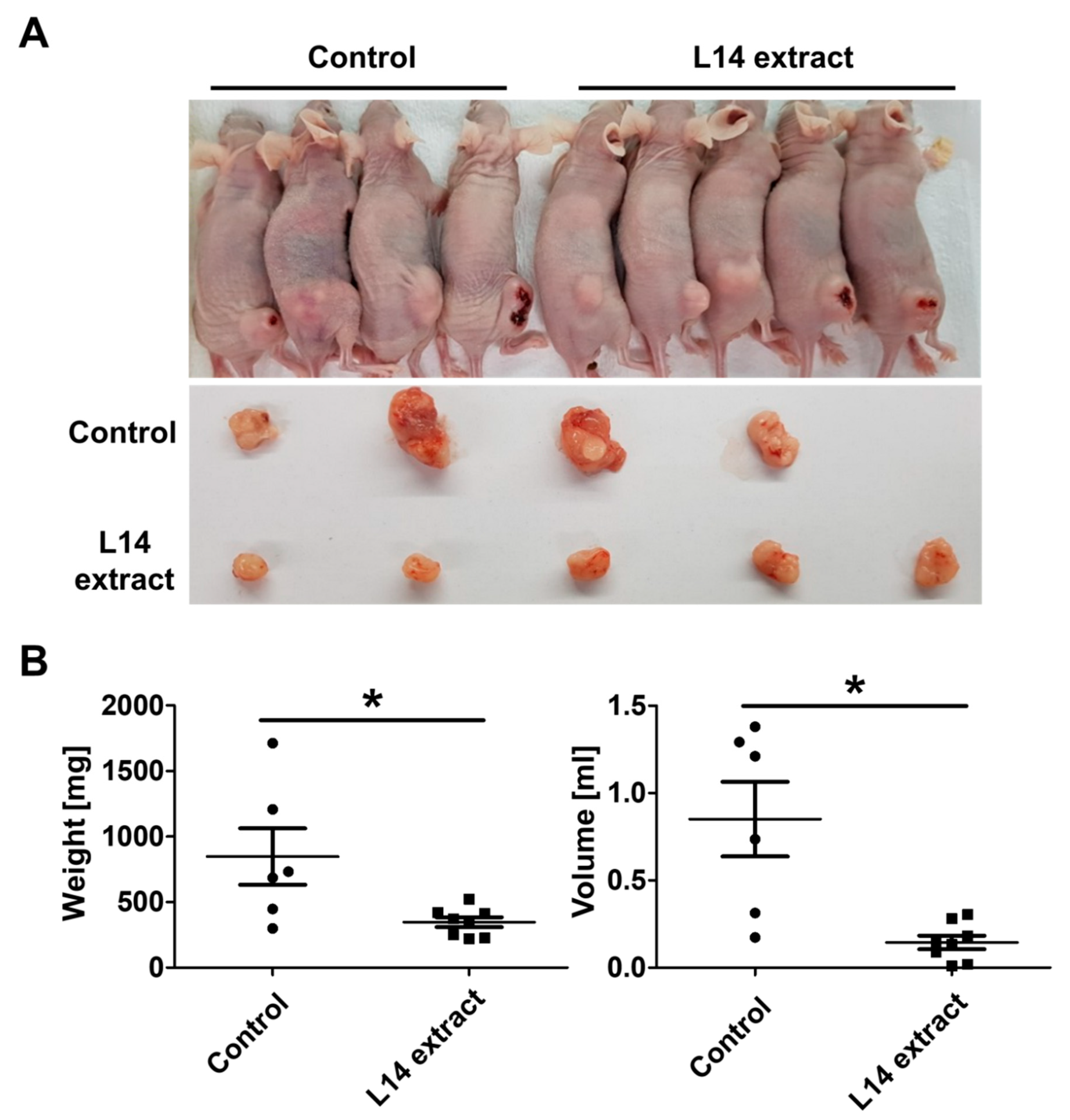 Molecules 25 03895 g002