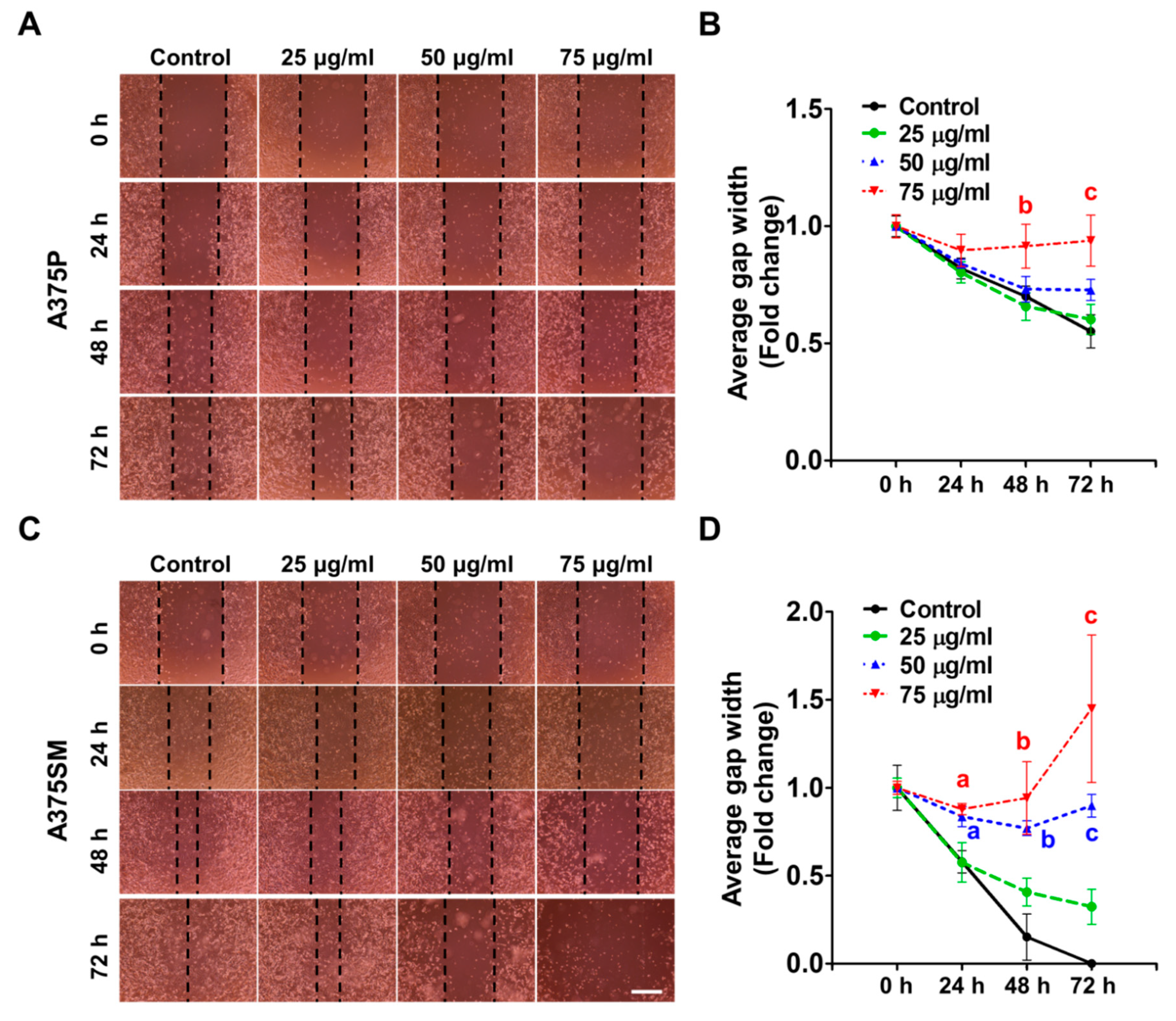 Molecules 25 03895 g003