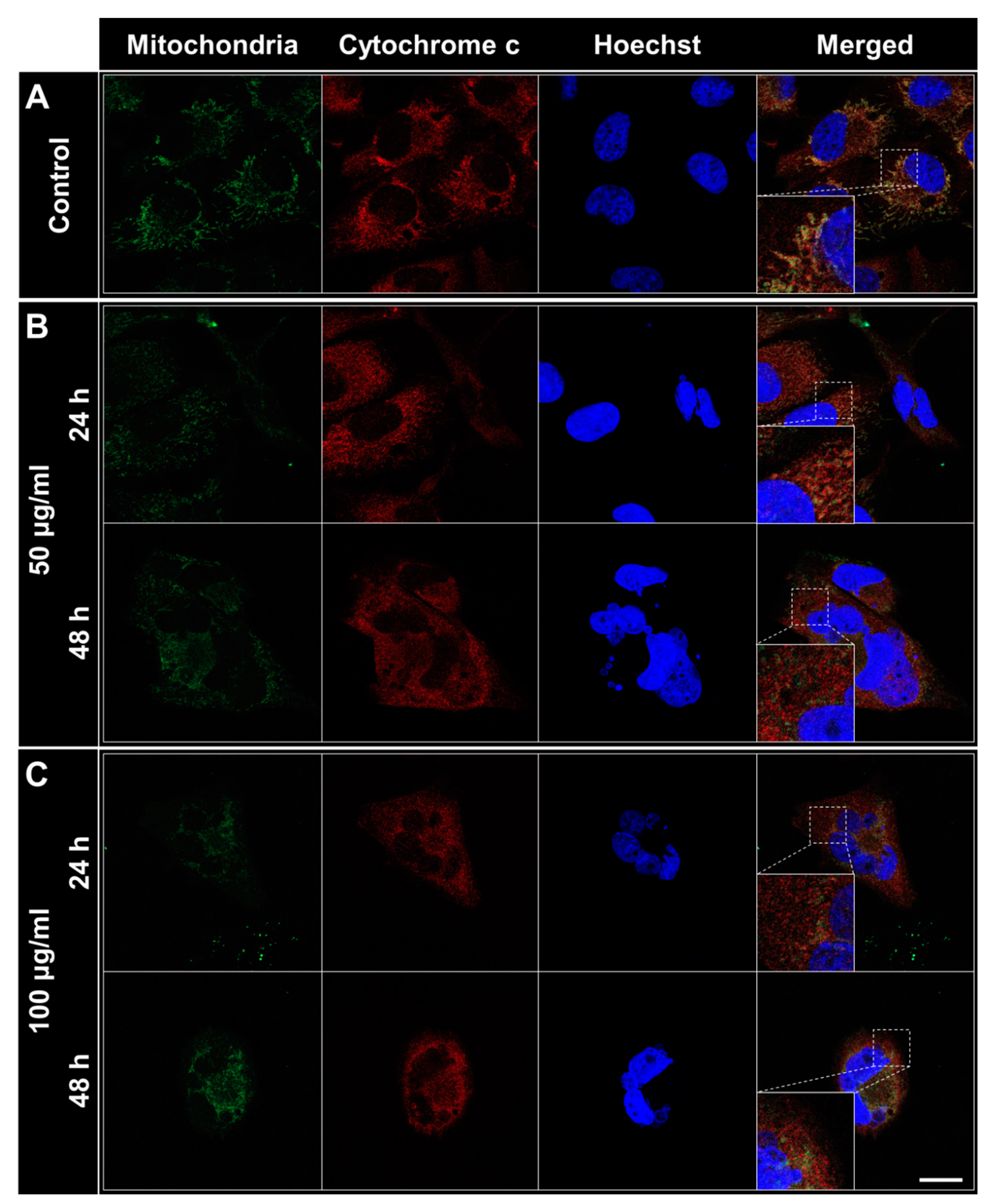 Molecules 25 03895 g006