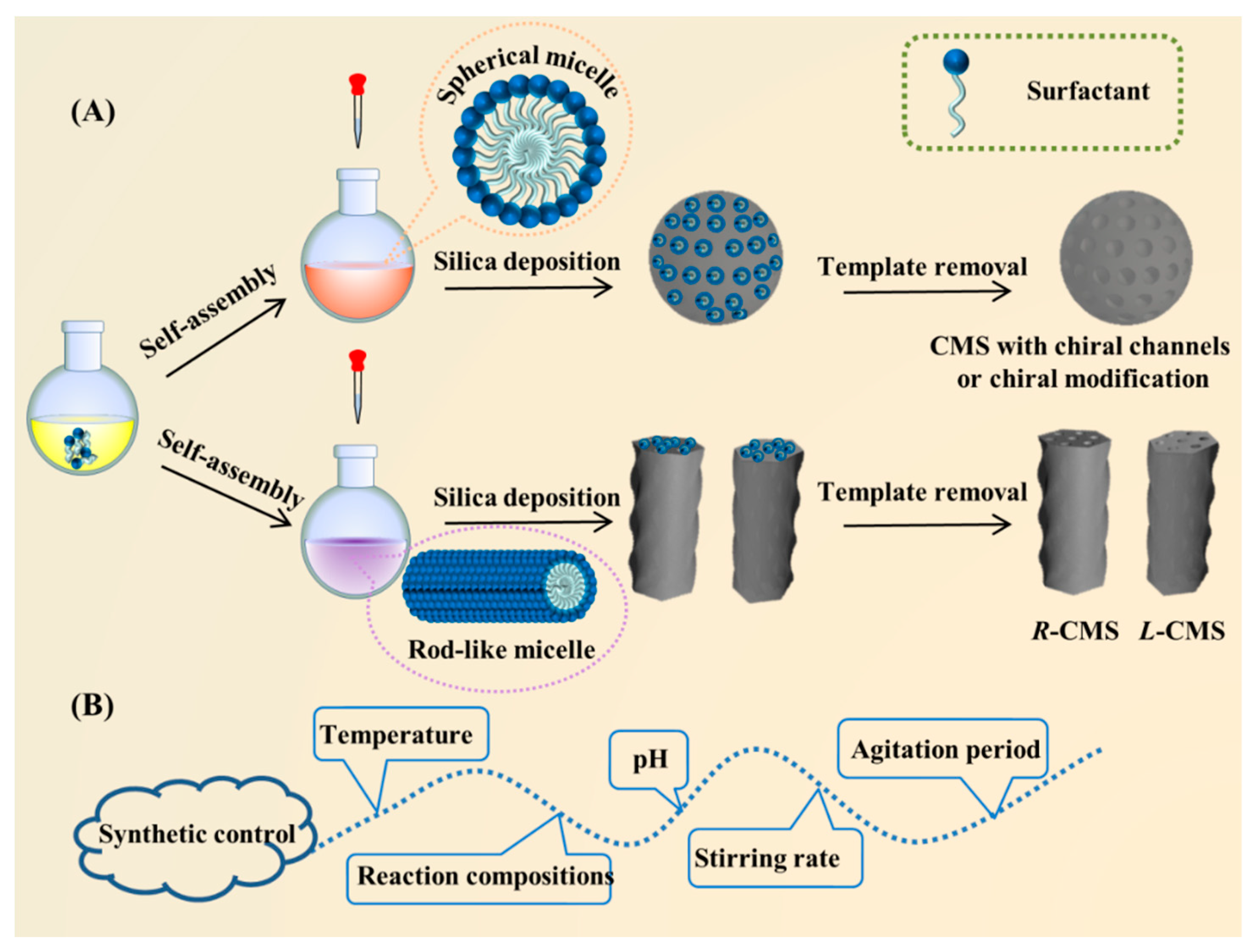 Molecules 25 03899 g001