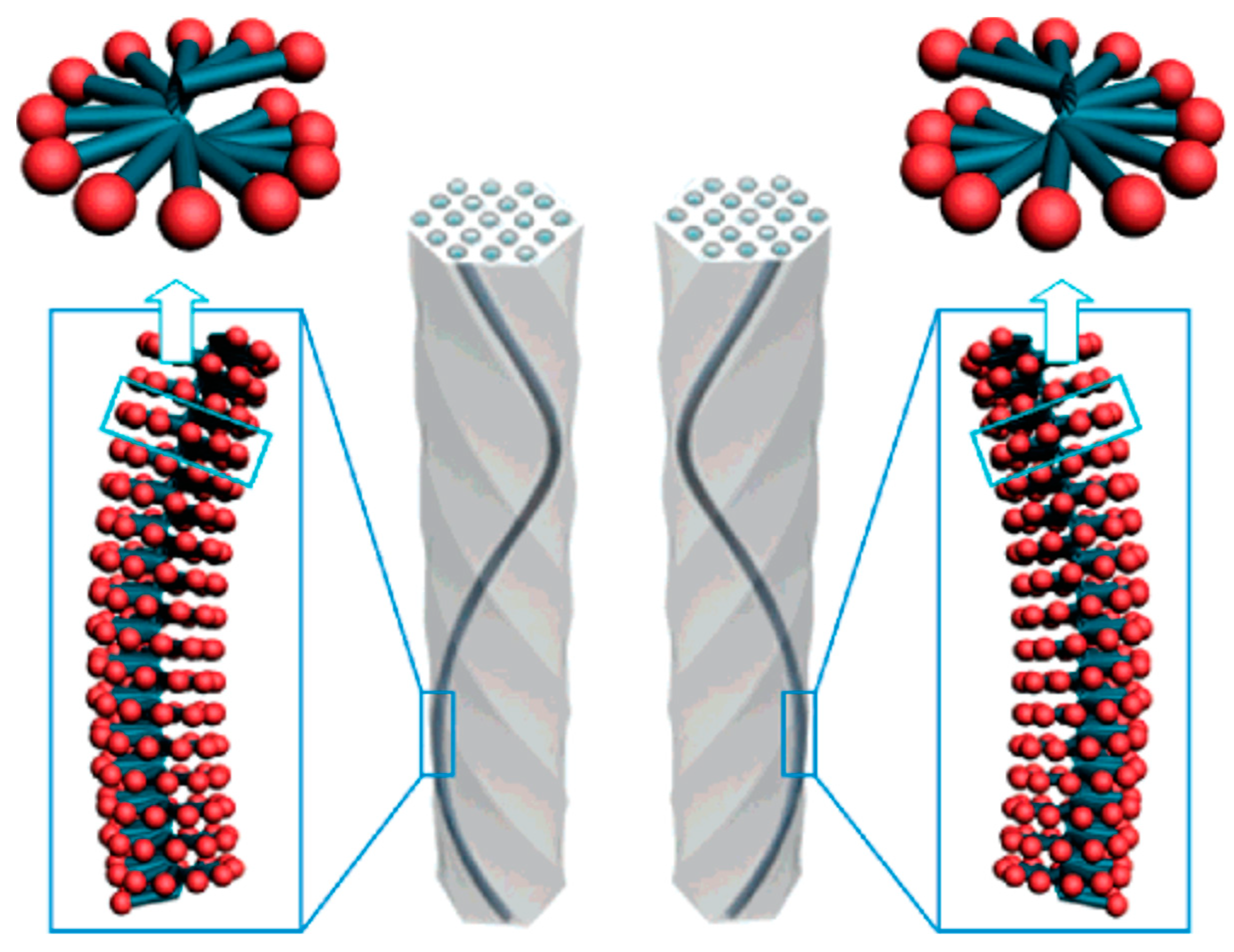 Molecules 25 03899 g002