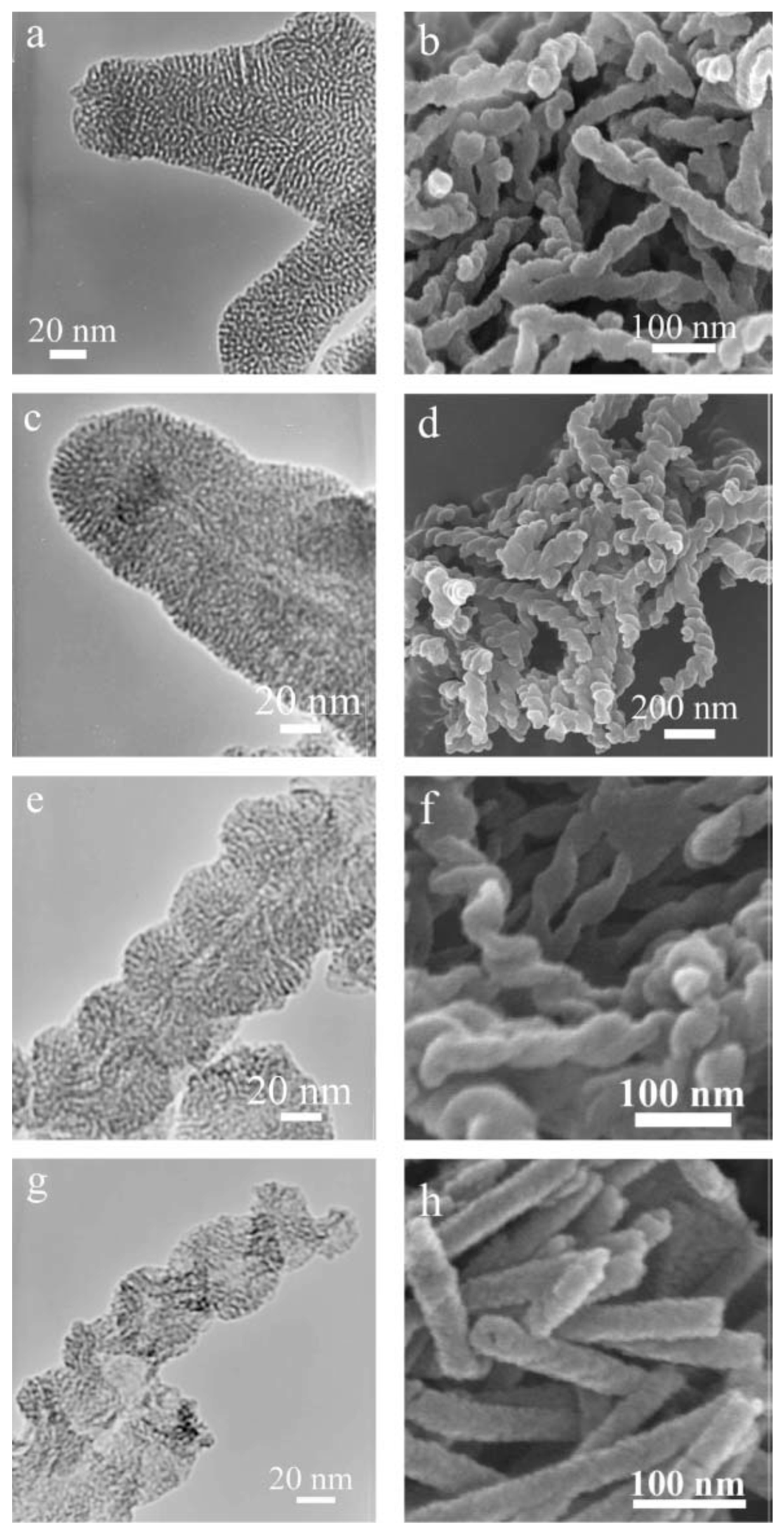 Molecules 25 03899 g003