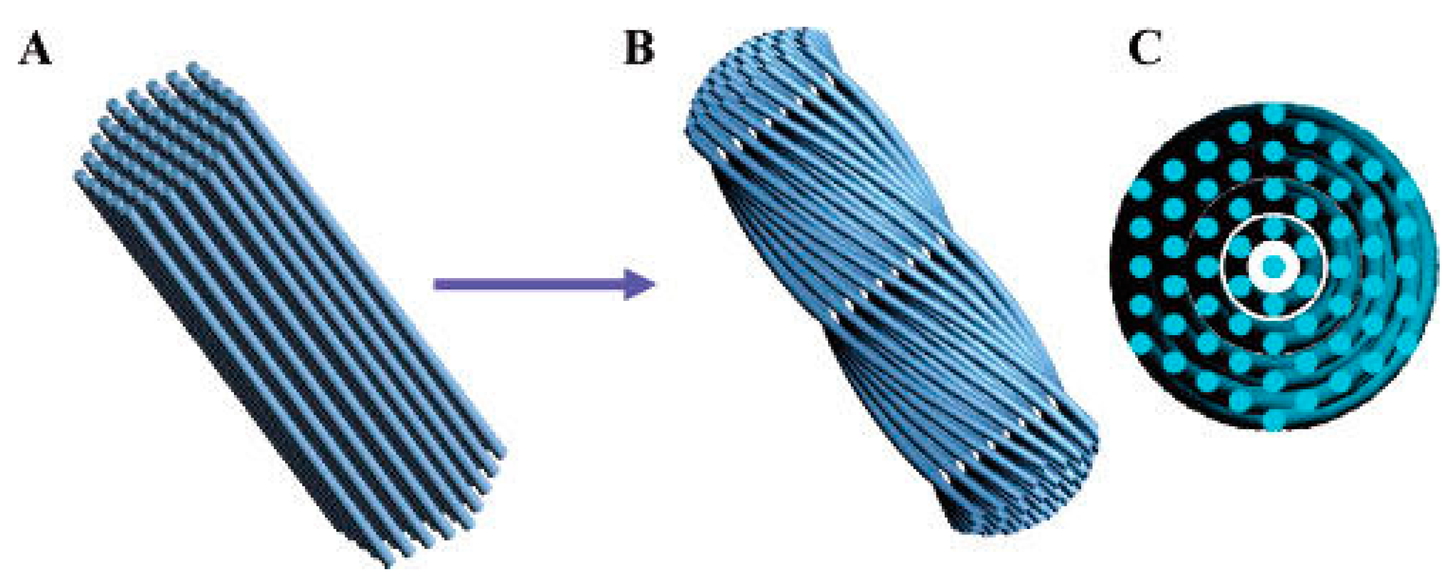 Molecules 25 03899 g005