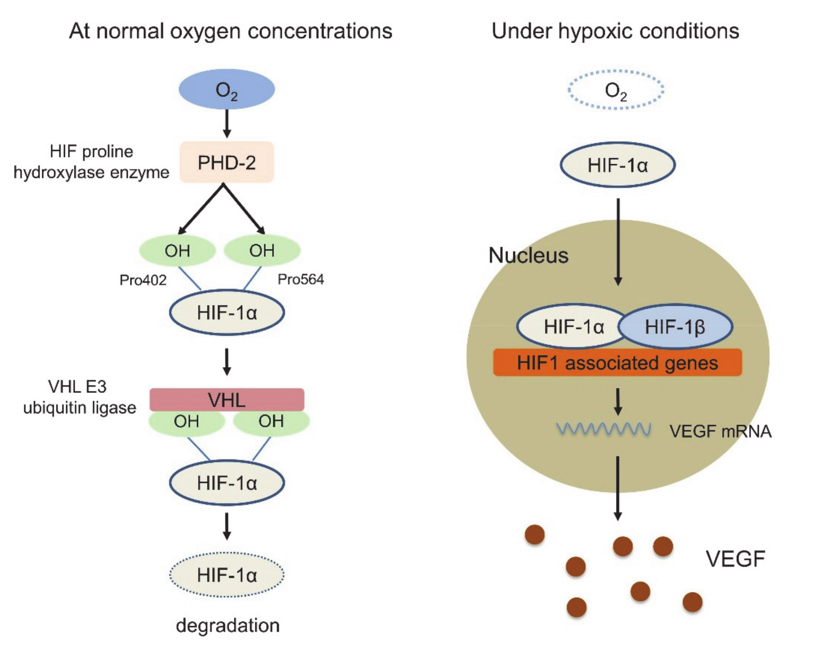 Molecules 25 03900 g001 Molecules 25 03900 g001
