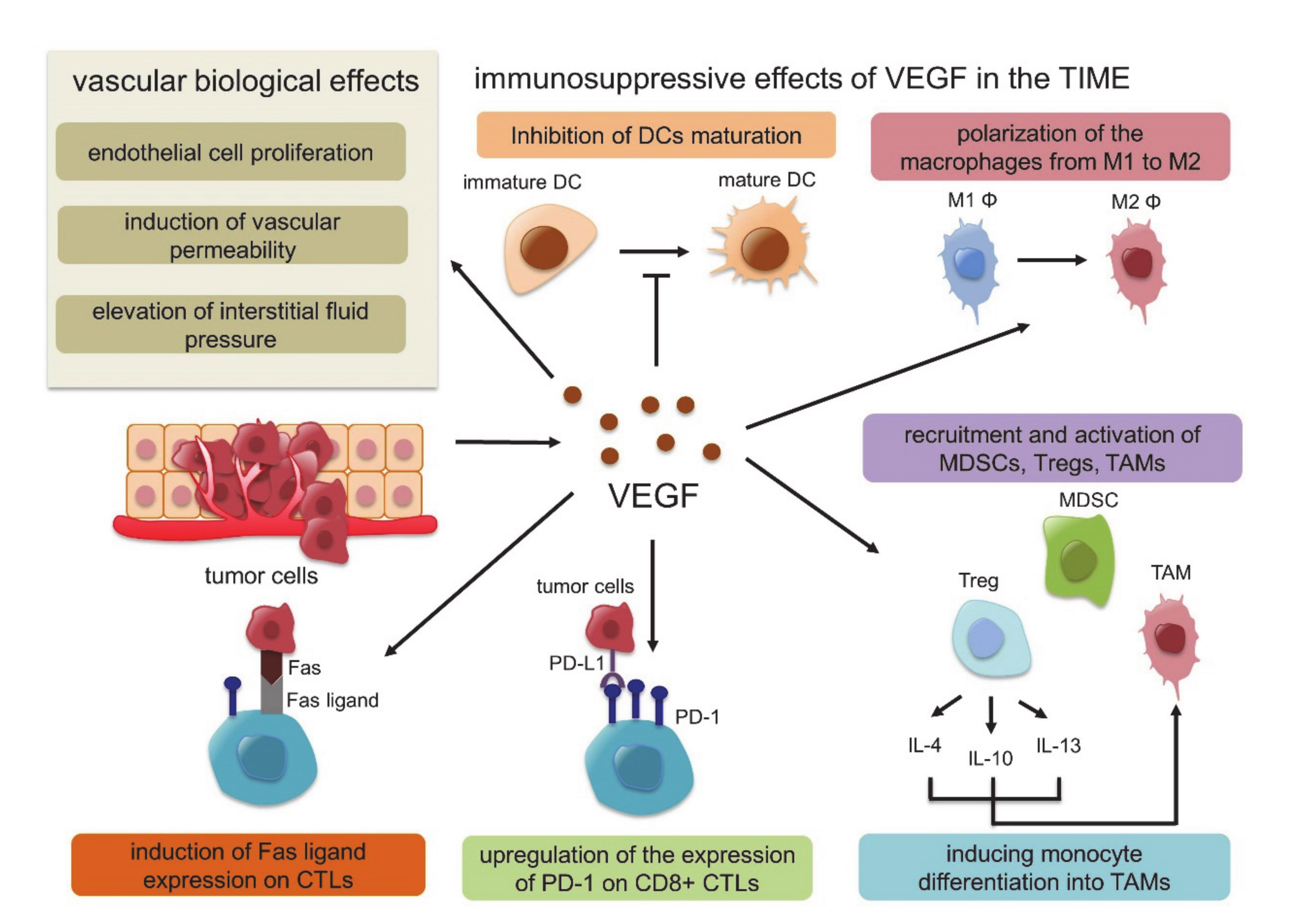 Molecules 25 03900 g002 Molecules 25 03900 g002