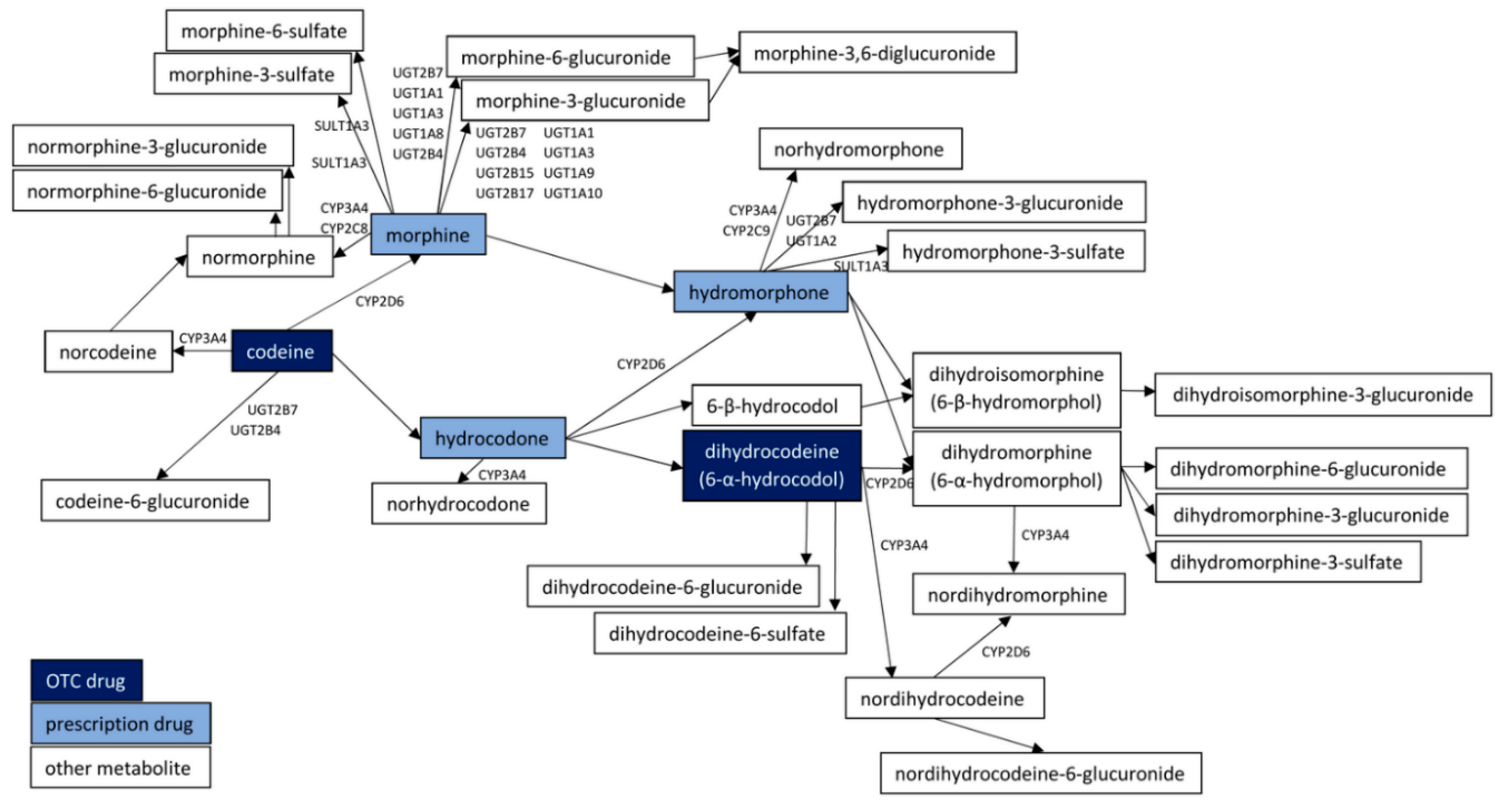 Molecules 25 03905 g001 Molecules 25 03905 g001