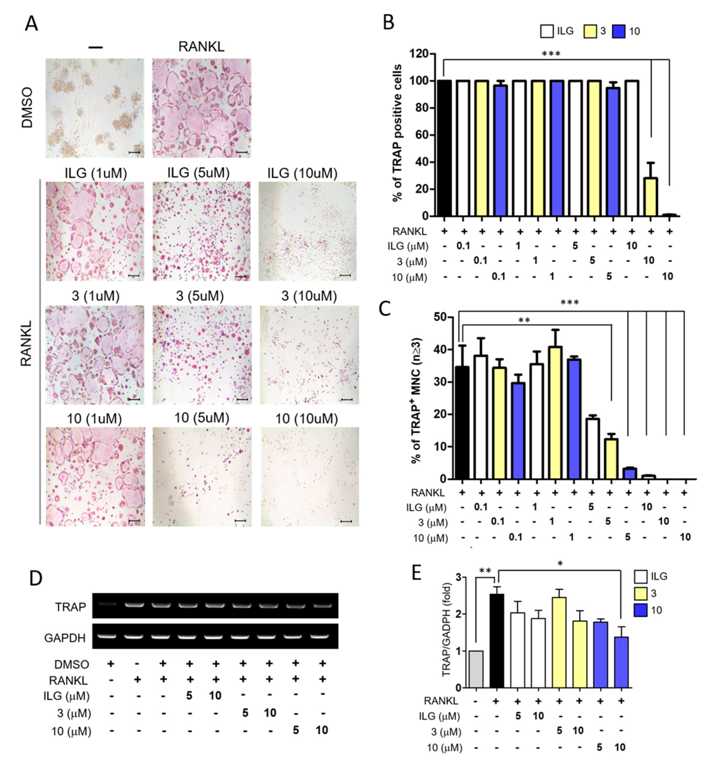Molecules 25 03908 g002 Molecules 25 03908 g002